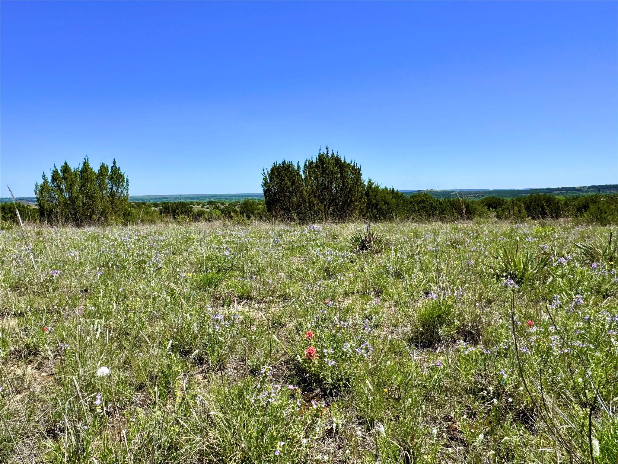 TBD FM 581 — photo 4