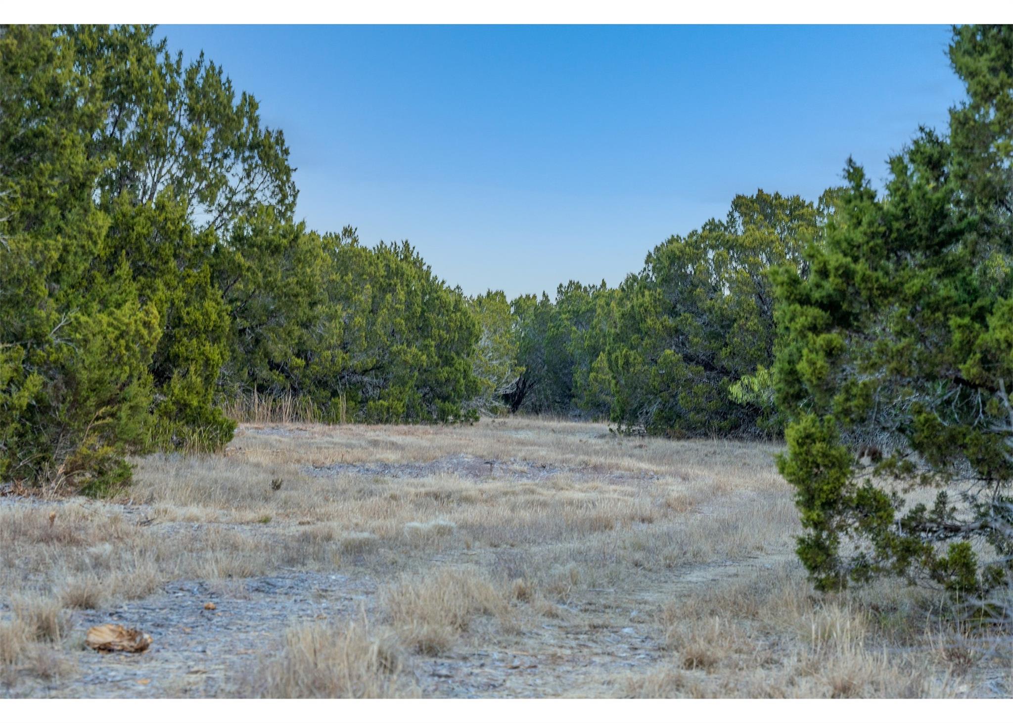 000 S Rocky Trail — photo 4