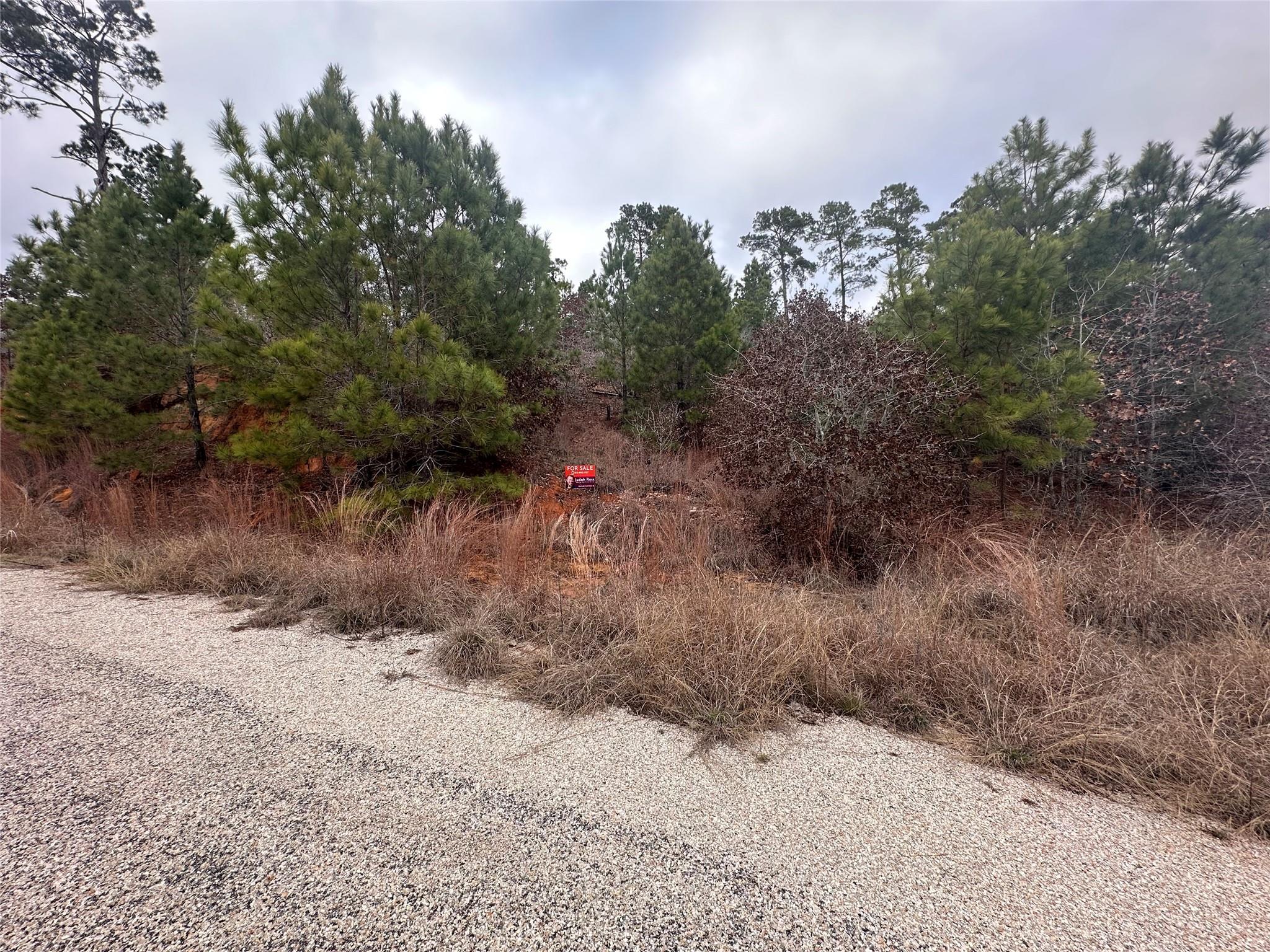 LOT 173 / R32210 Keo Kea CT — photo 4