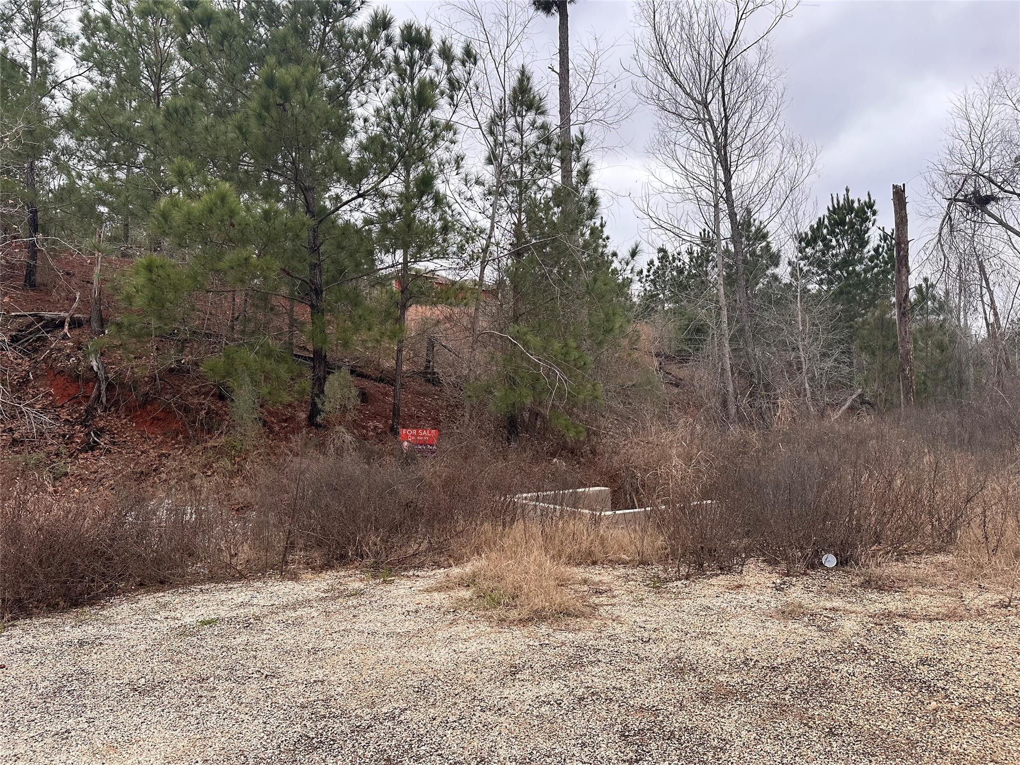 LOT 178 / R32255 Keo Kea CT — photo 4