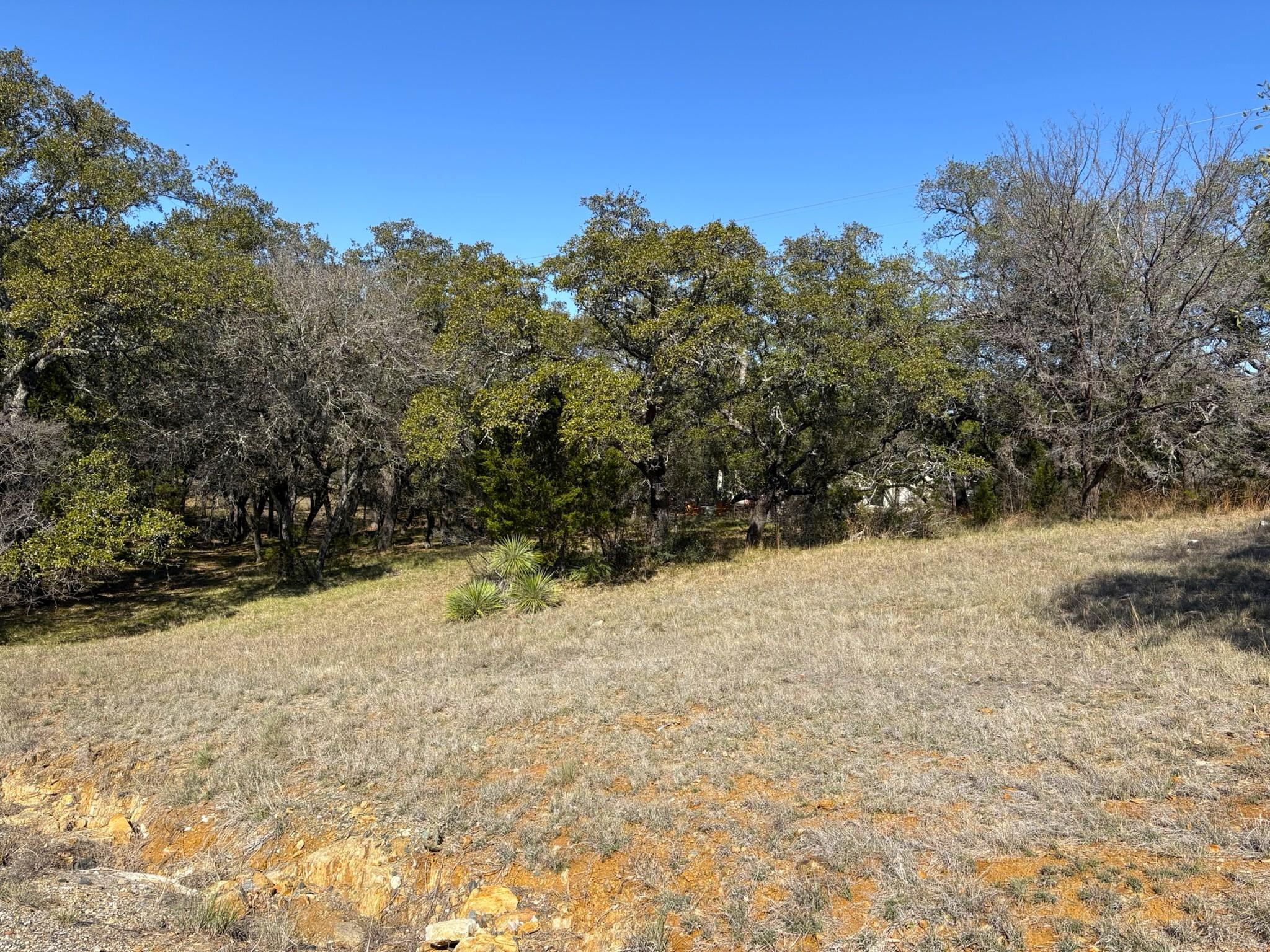 118 Cactus Corner — photo 3