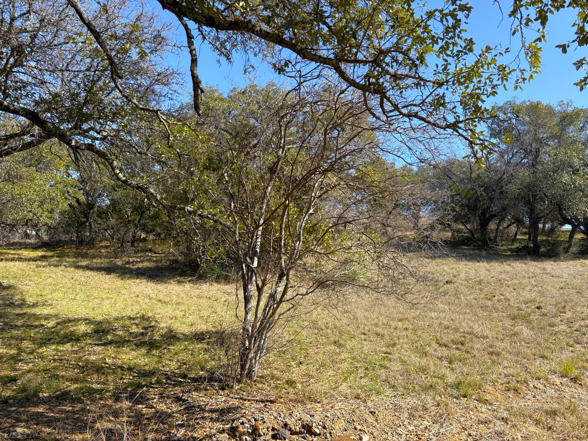 118 Cactus Corner — photo 5