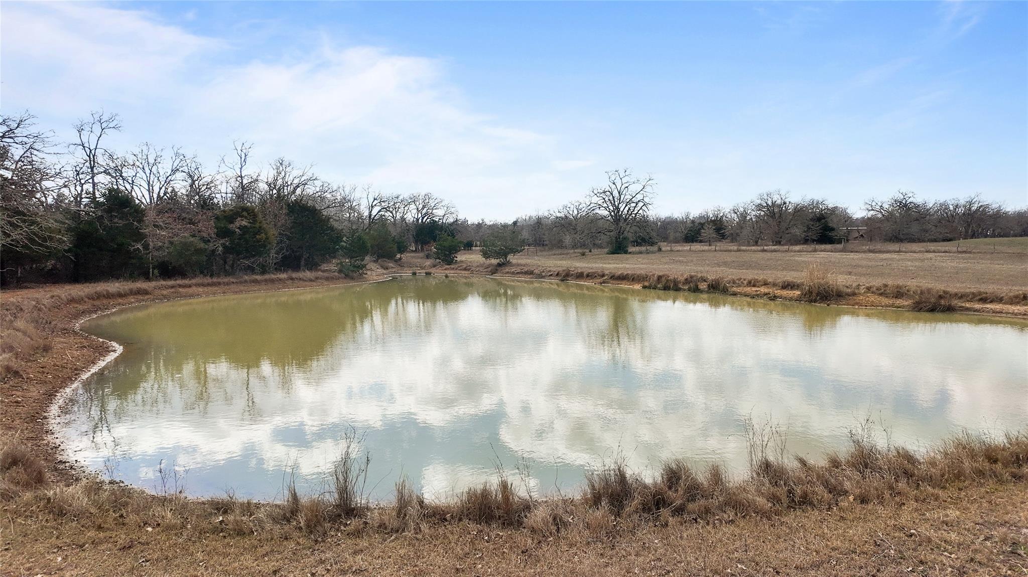 3640 County Road 481 — photo 4