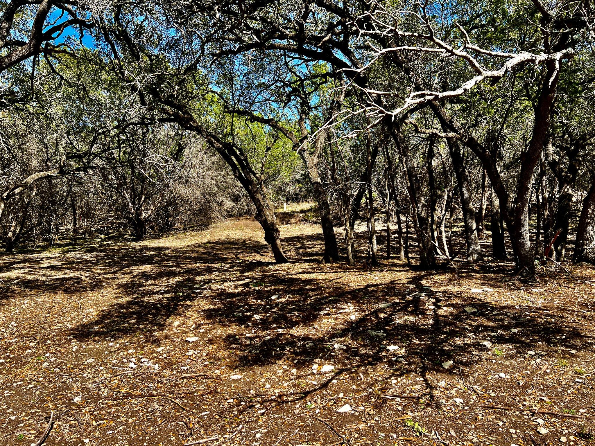 21300 HIGHLAND LAKE DR — photo 3