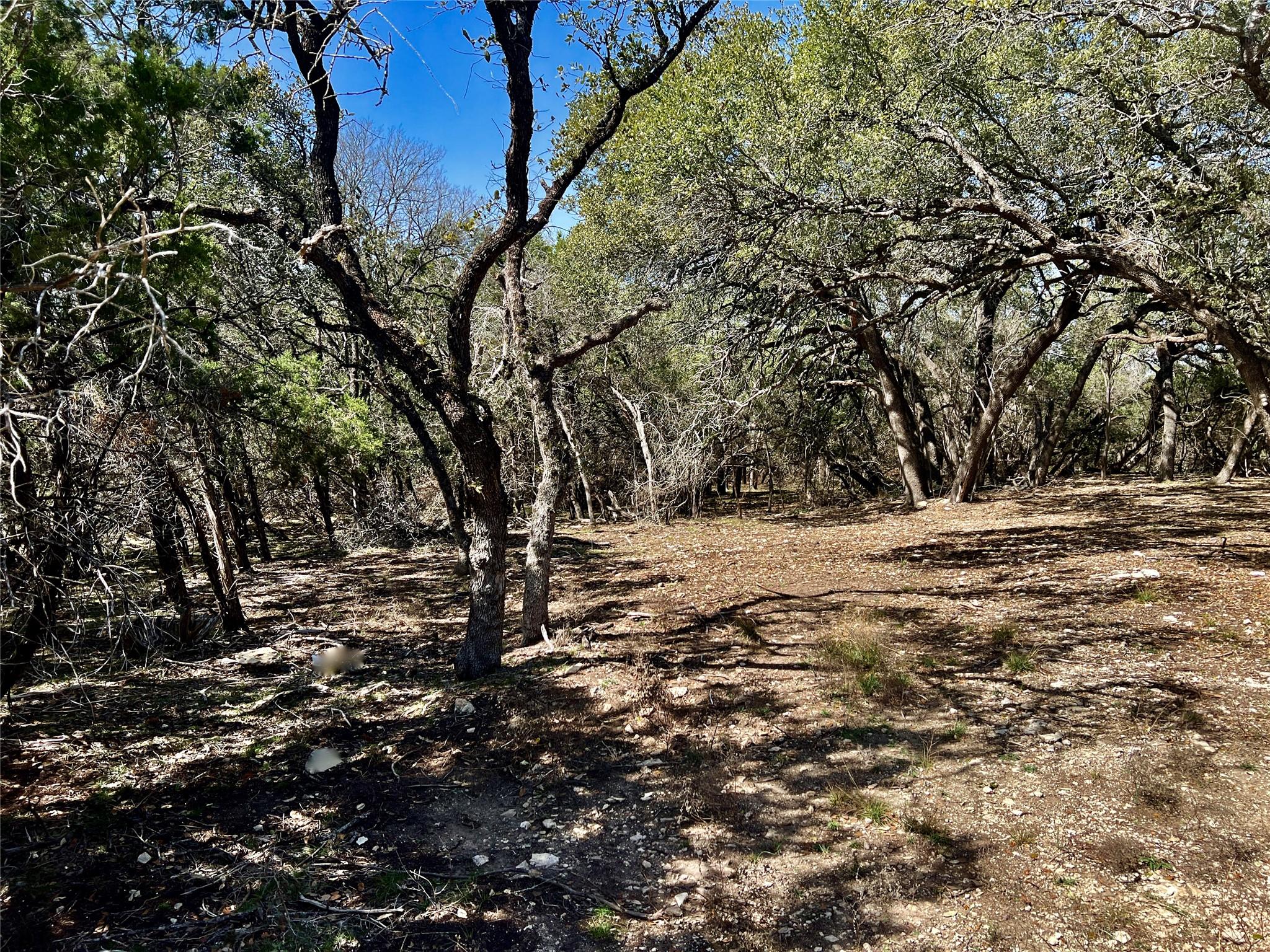 21300 HIGHLAND LAKE DR — photo 4