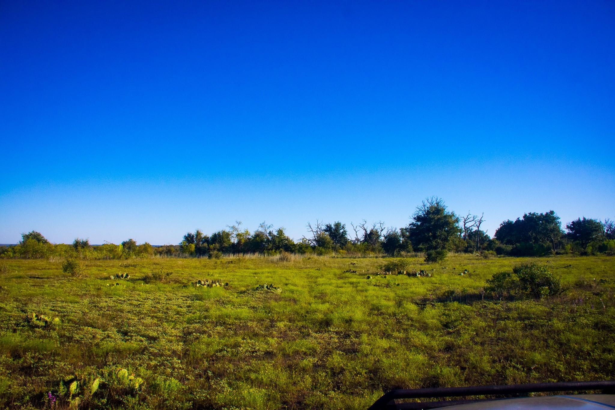 000 County Road 1255 — photo 5