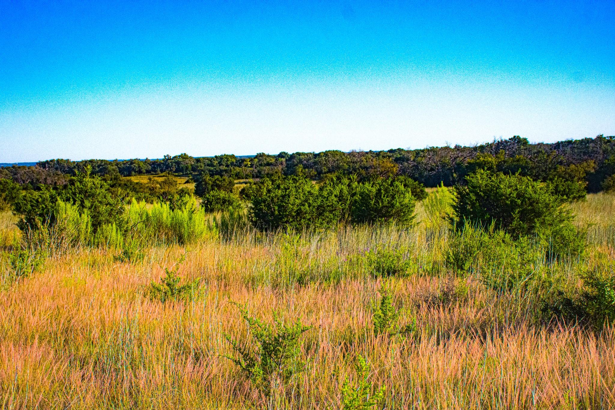 000 County Road 1255 — photo 4