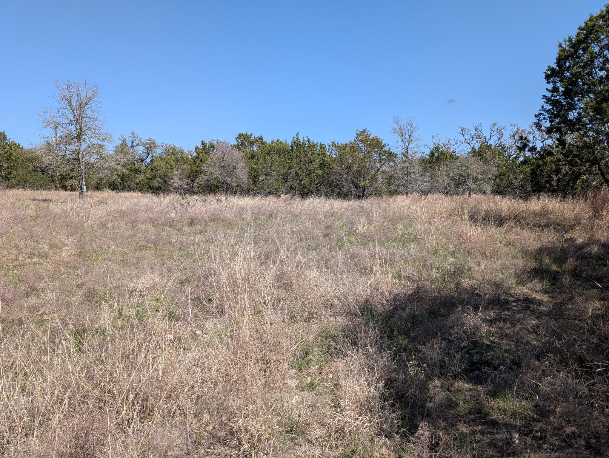 508 Deer Creek DR — photo 4