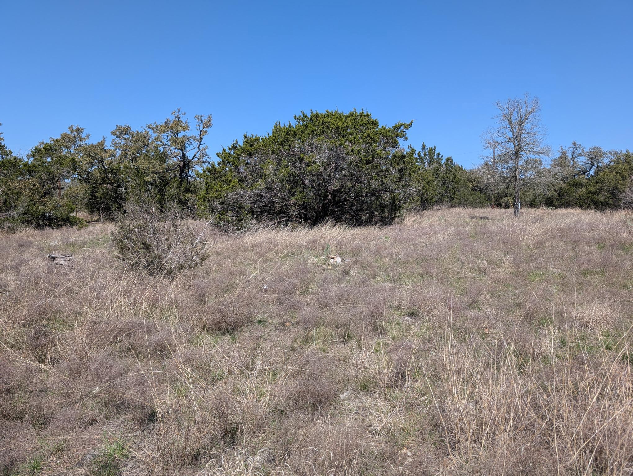 508 Deer Creek DR — photo 5