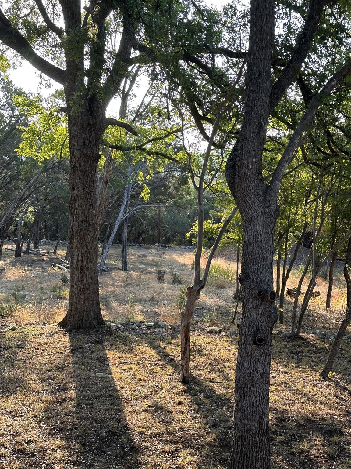 12333A Ranch Rd 12 #1 — photo 4