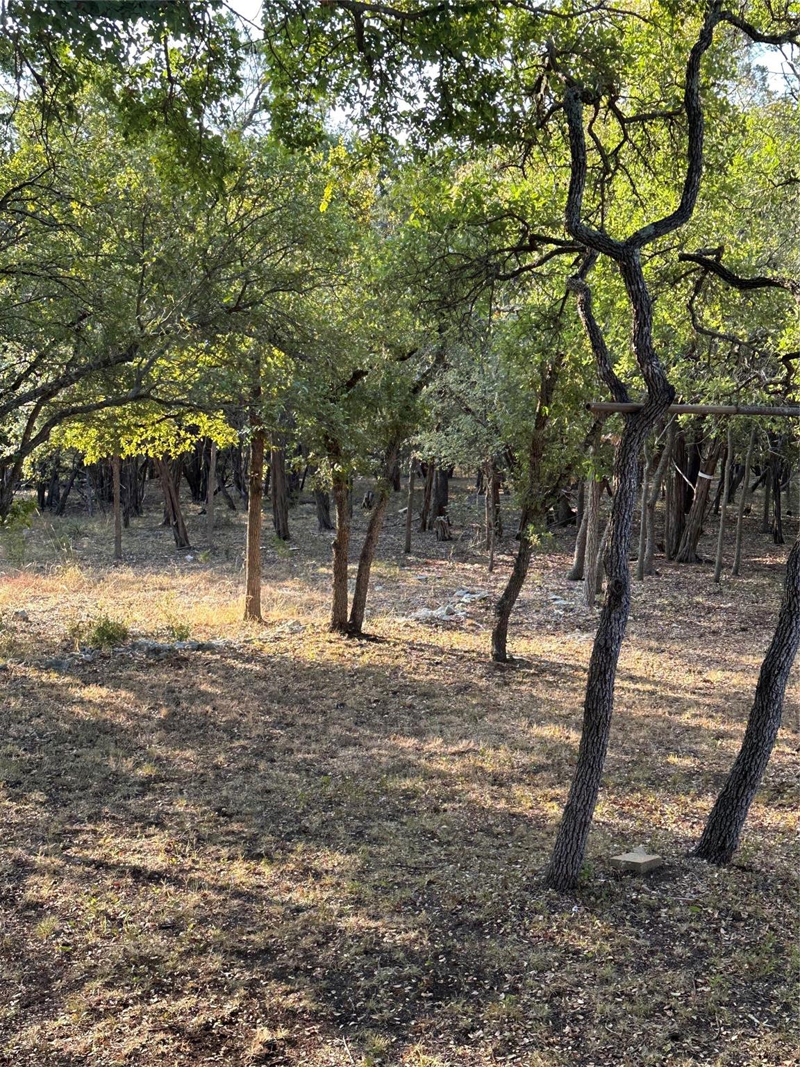 12333A Ranch Rd 12 #1 — photo 5