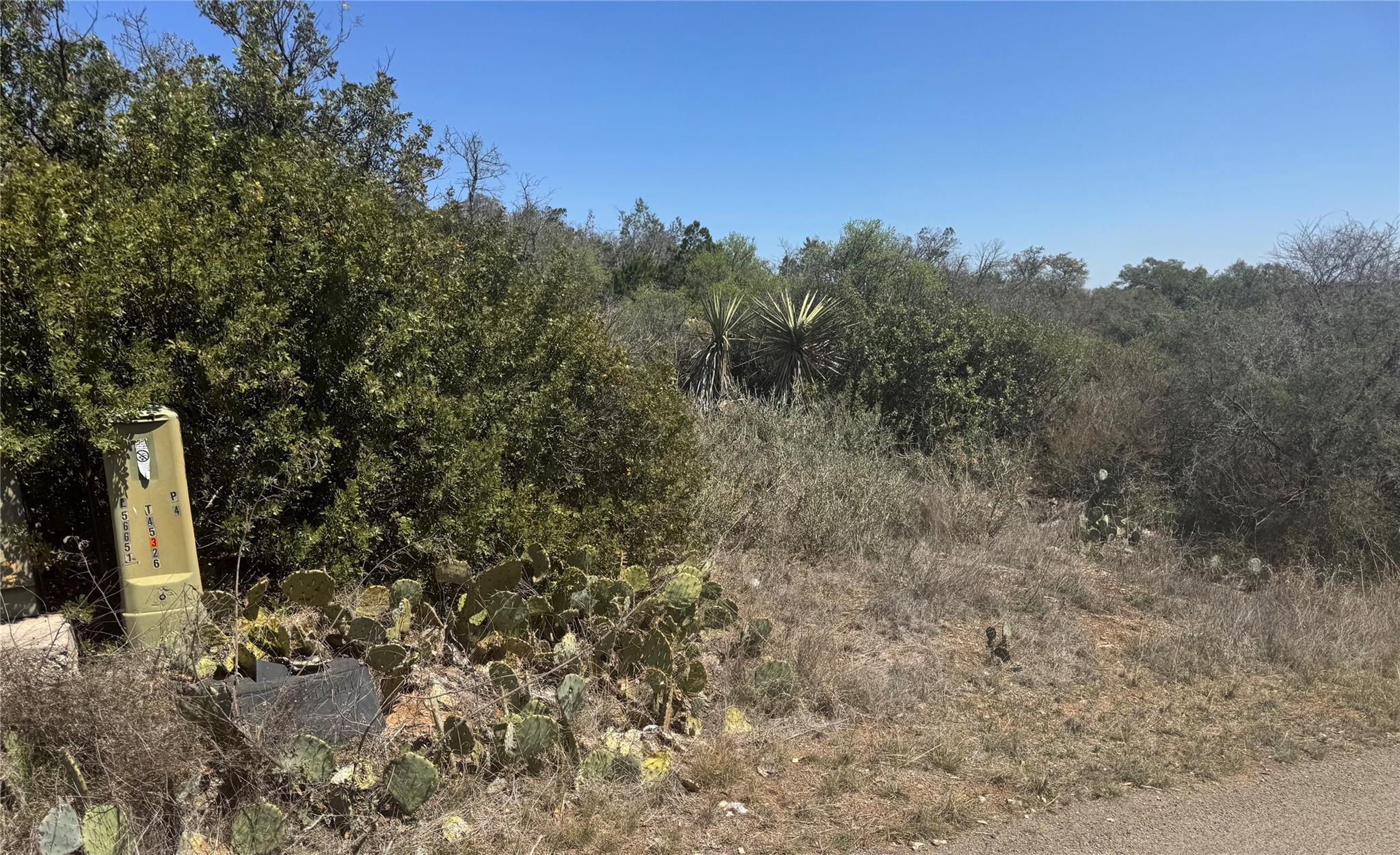 Lot 56 War Bonnet RDG — photo 4