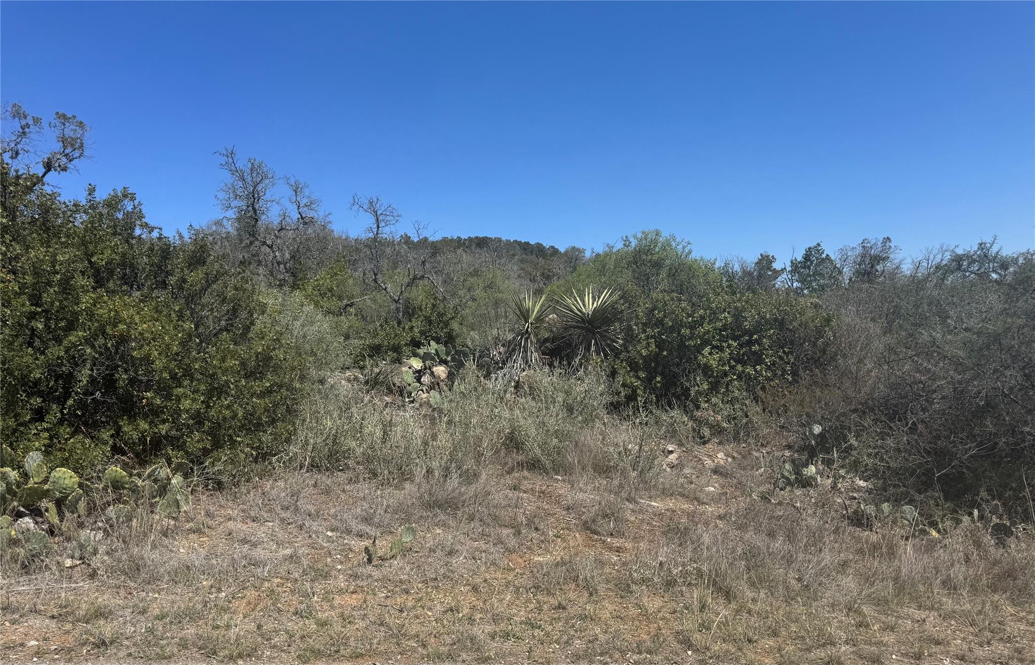 Lot 56 War Bonnet RDG — photo 5