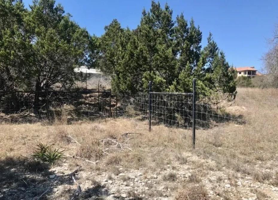 517 Left Fork PL — photo 5