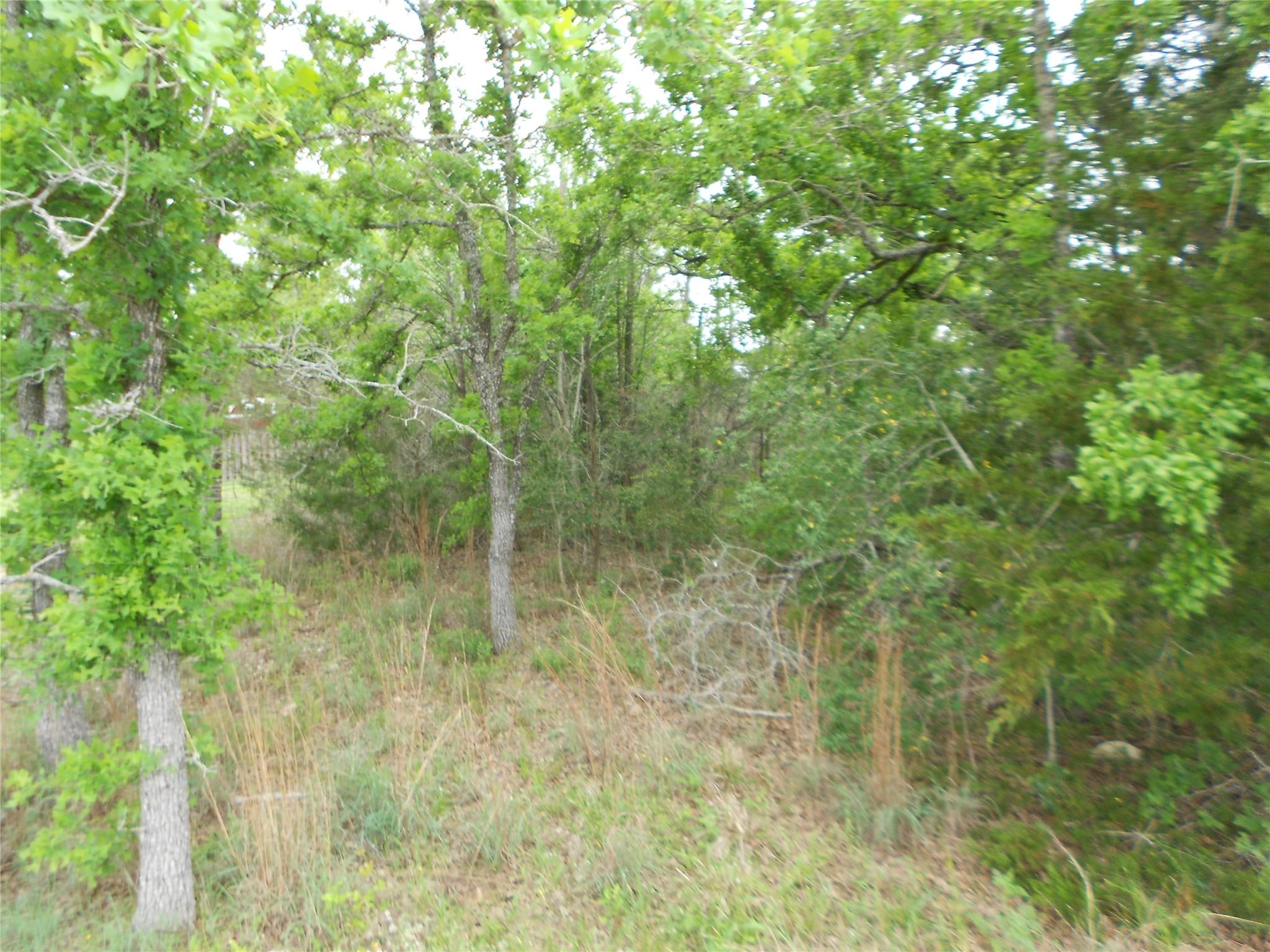 441 Tom Tom — photo 3