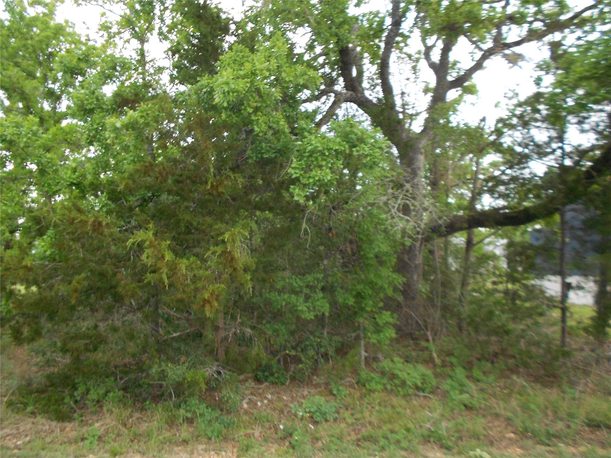 441 Tom Tom — photo 5