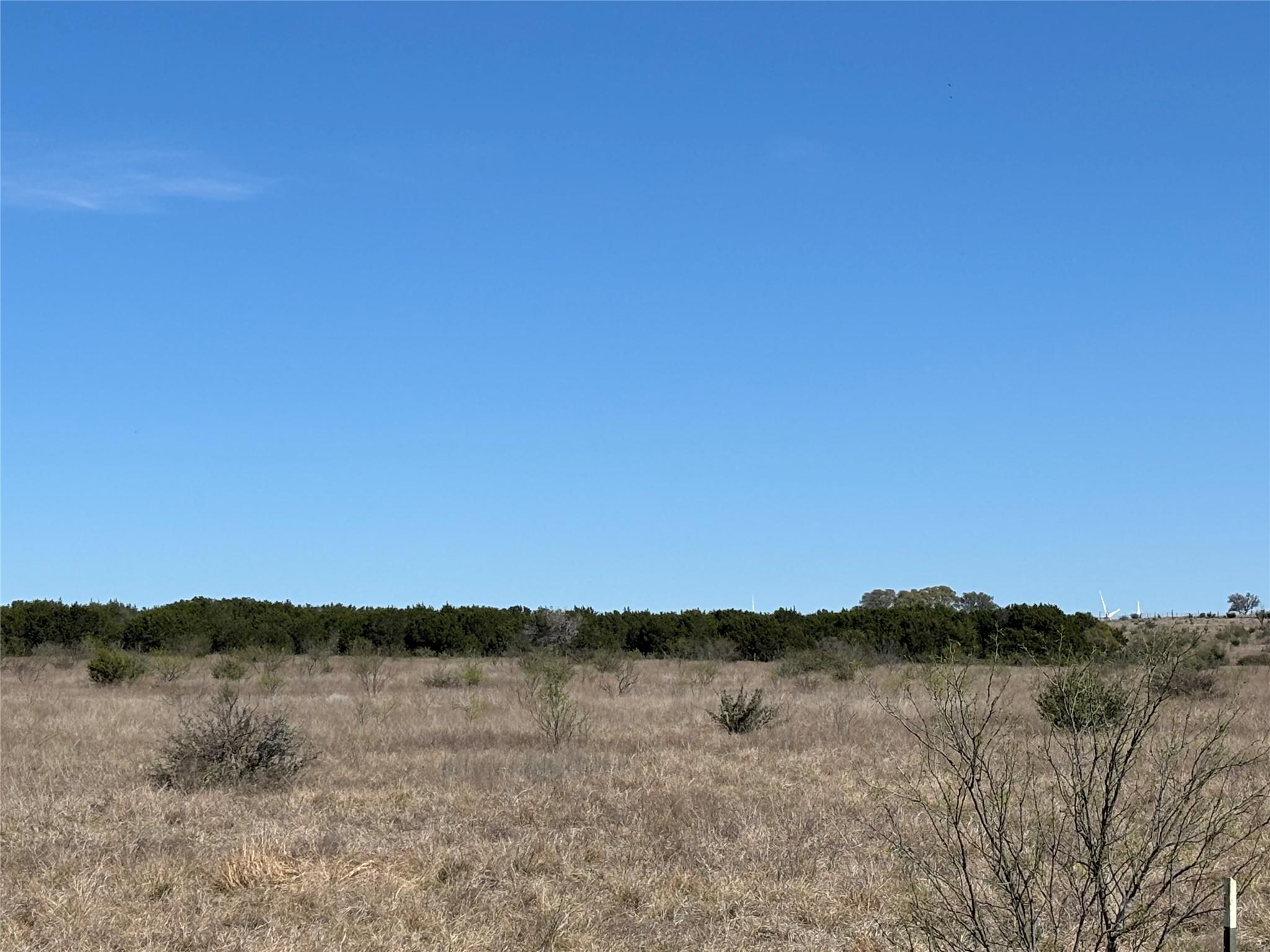 108 Live Oak Mott DR — photo 4