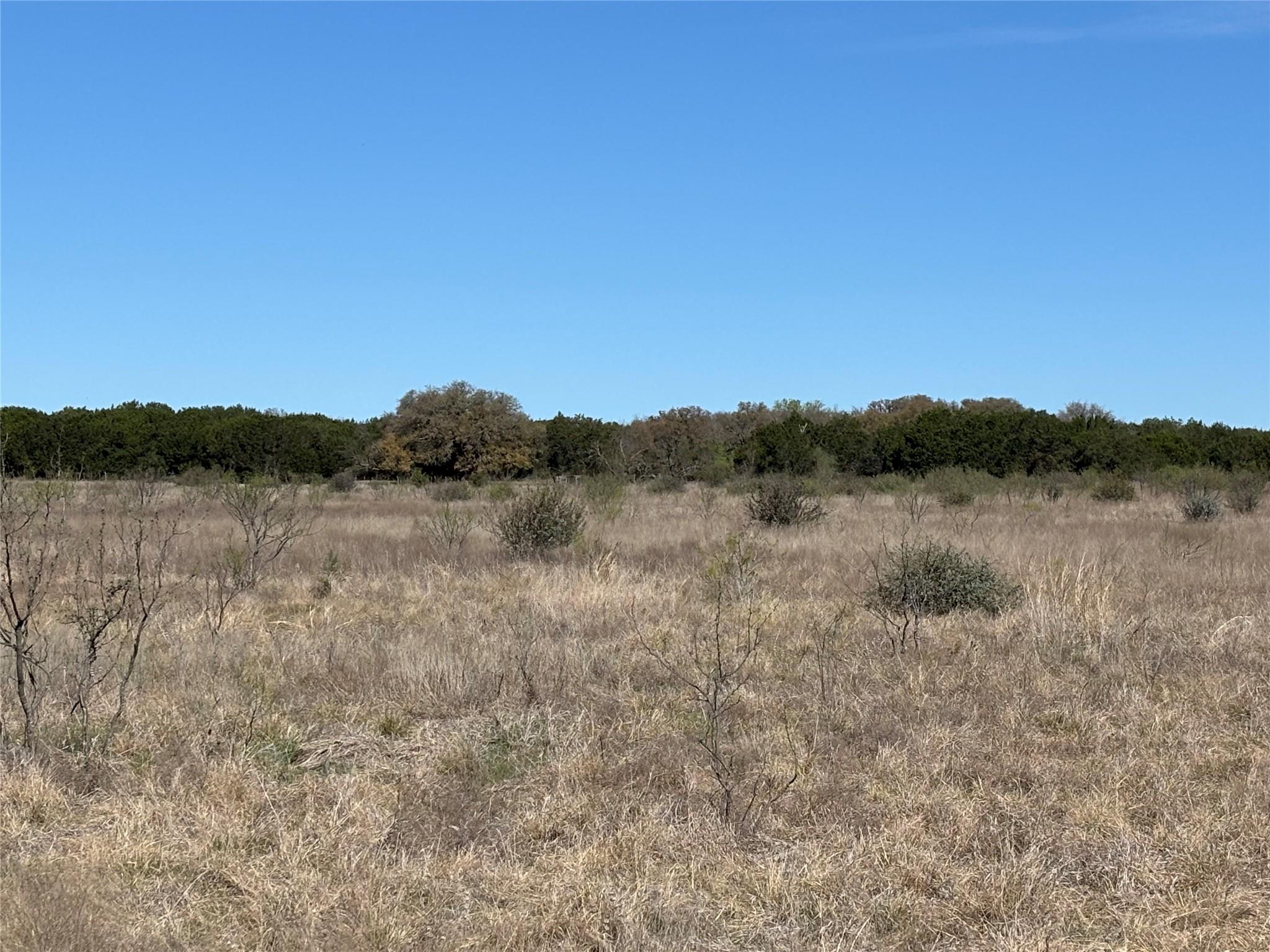 108 Live Oak Mott DR — photo 5