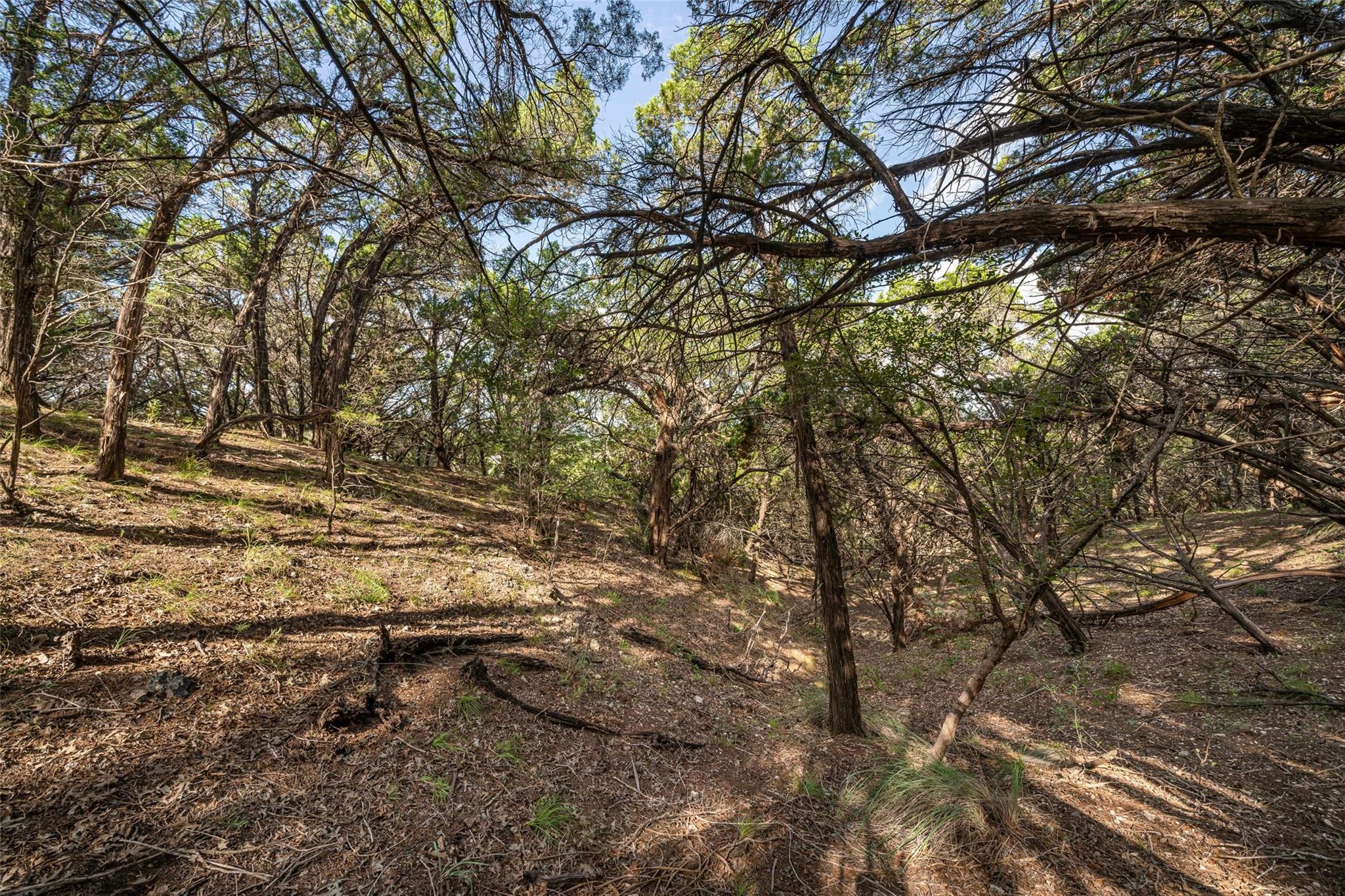 7900 Arapaho TRL — photo 4