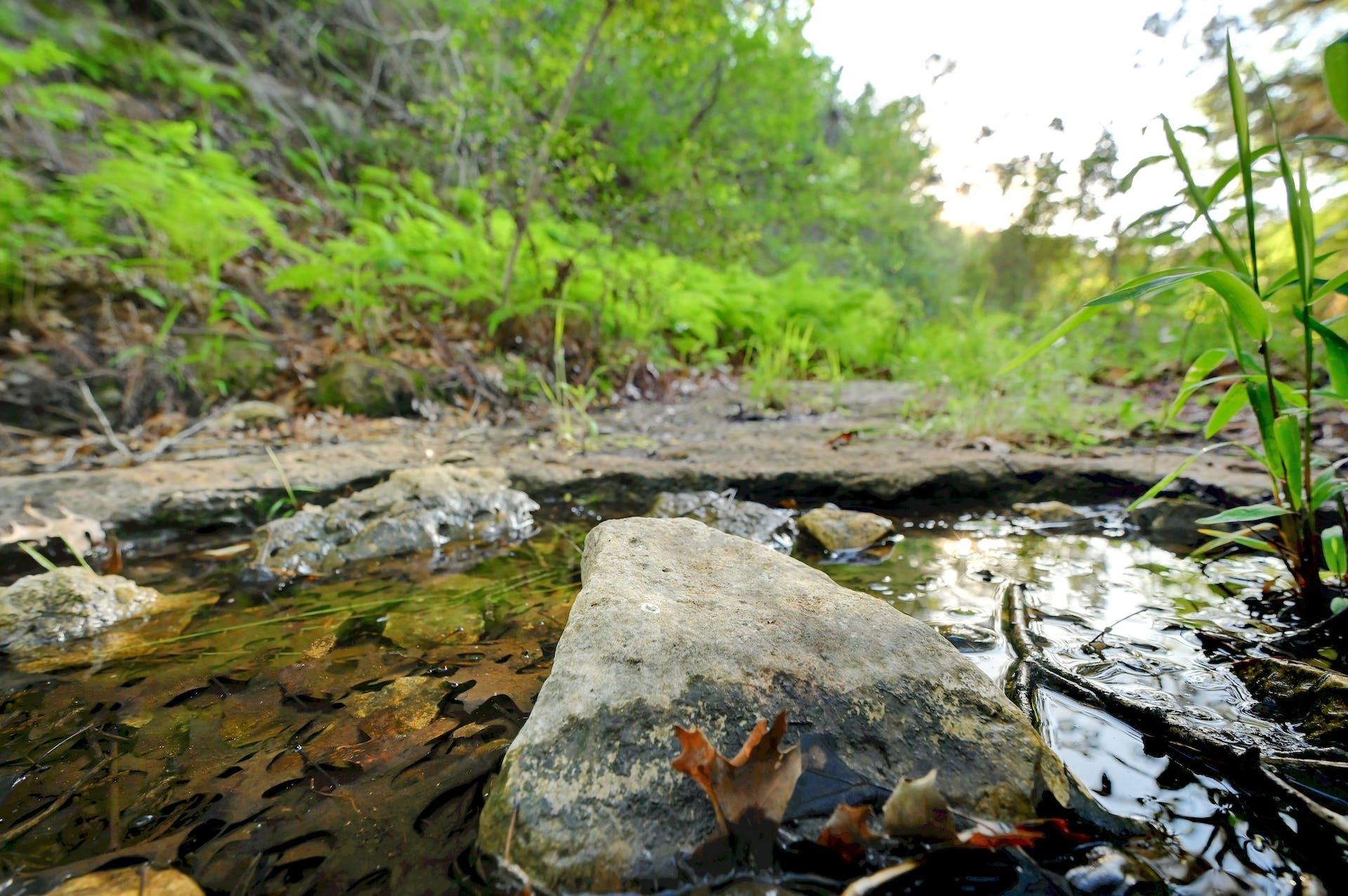 10700 FM306 — photo 3