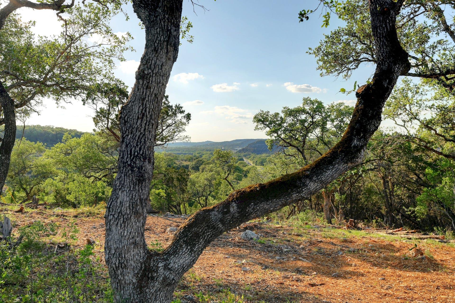 10700 FM306 — photo 4