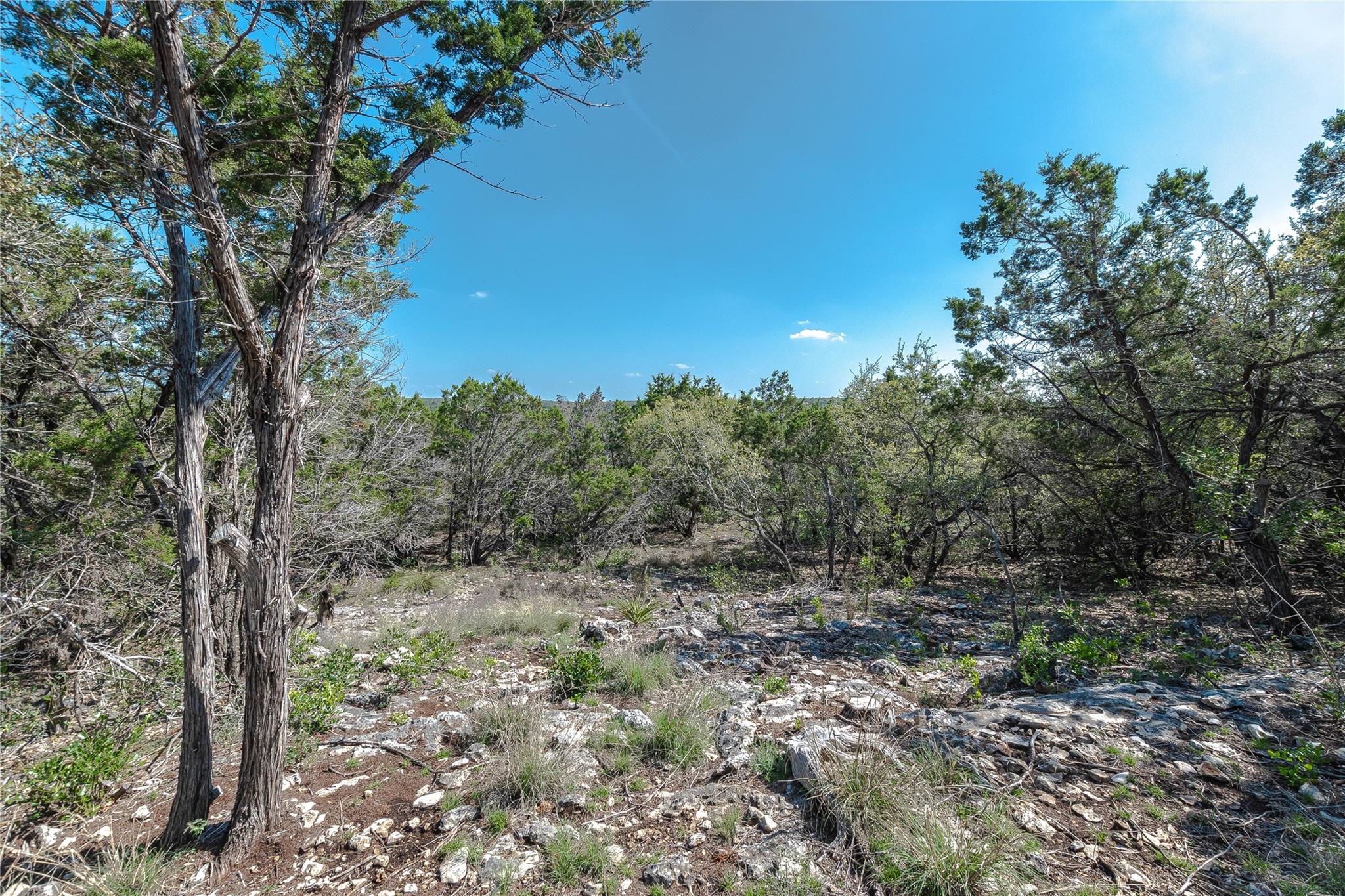 3470 Summit DR — photo 3