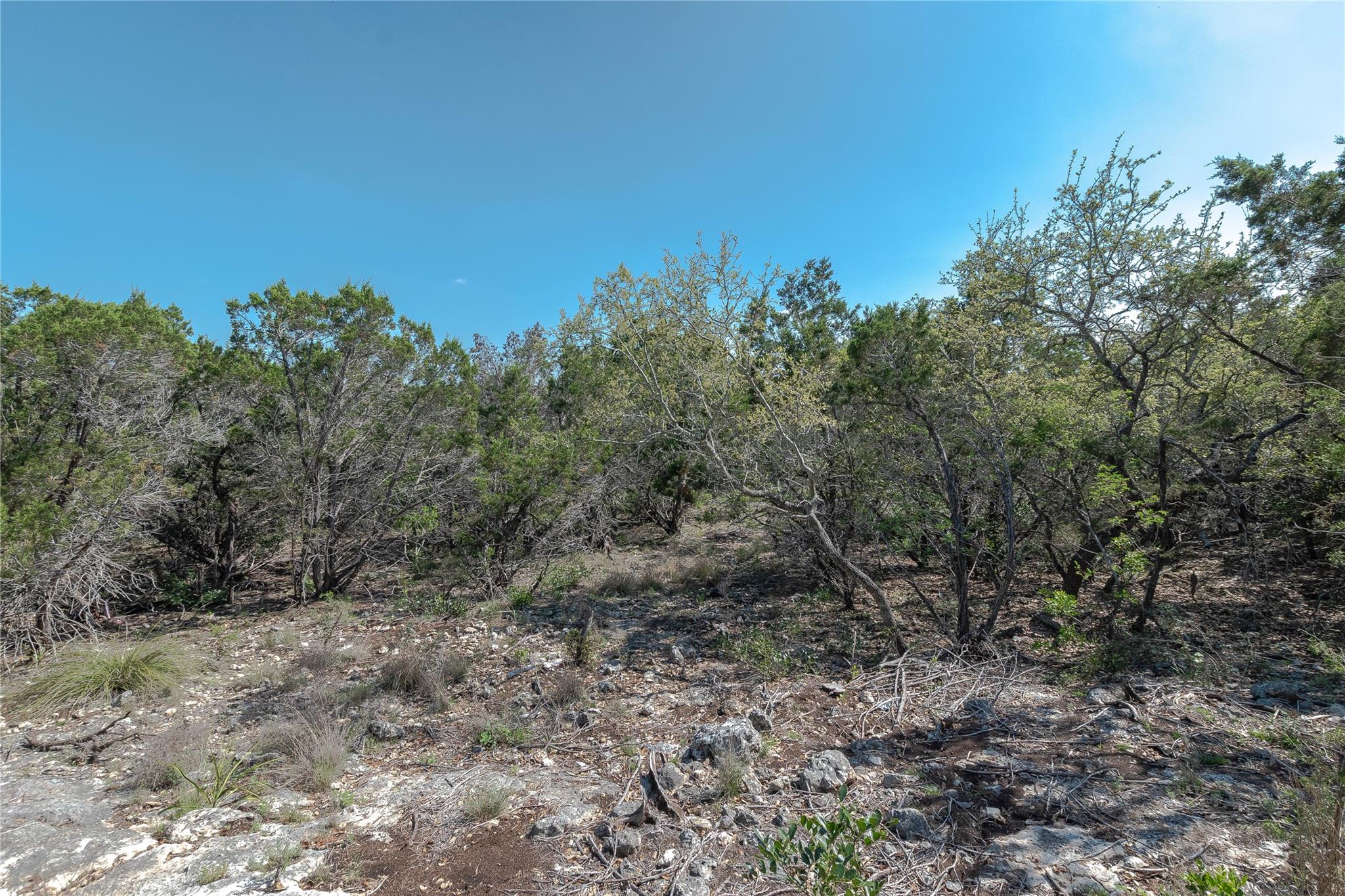 3470 Summit DR — photo 4