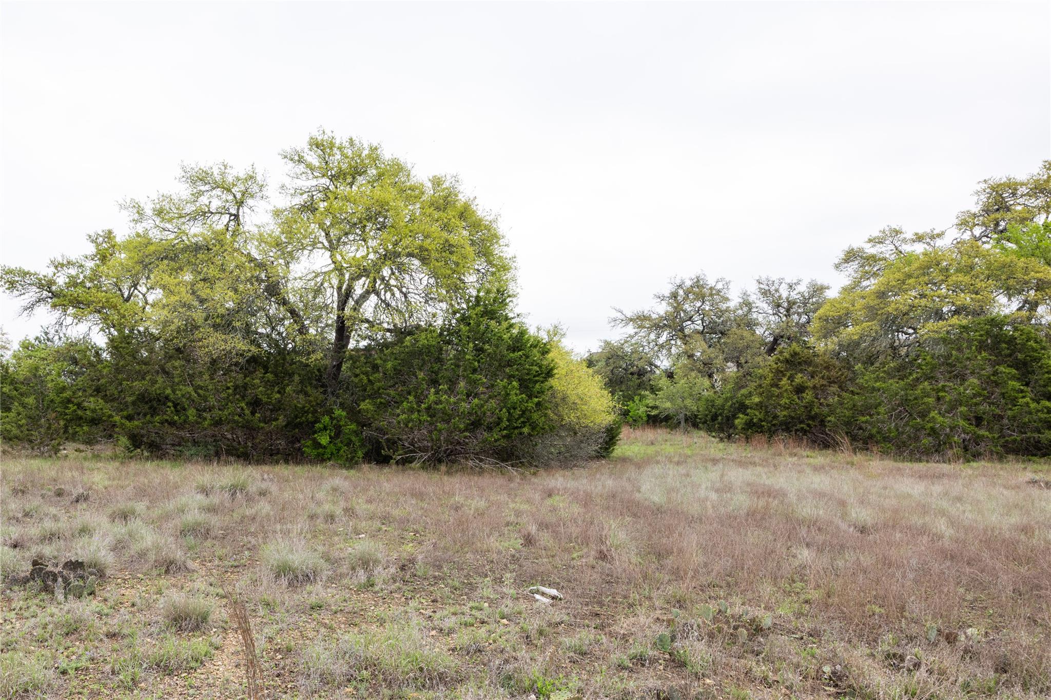TBD Logan's WAY — photo 3