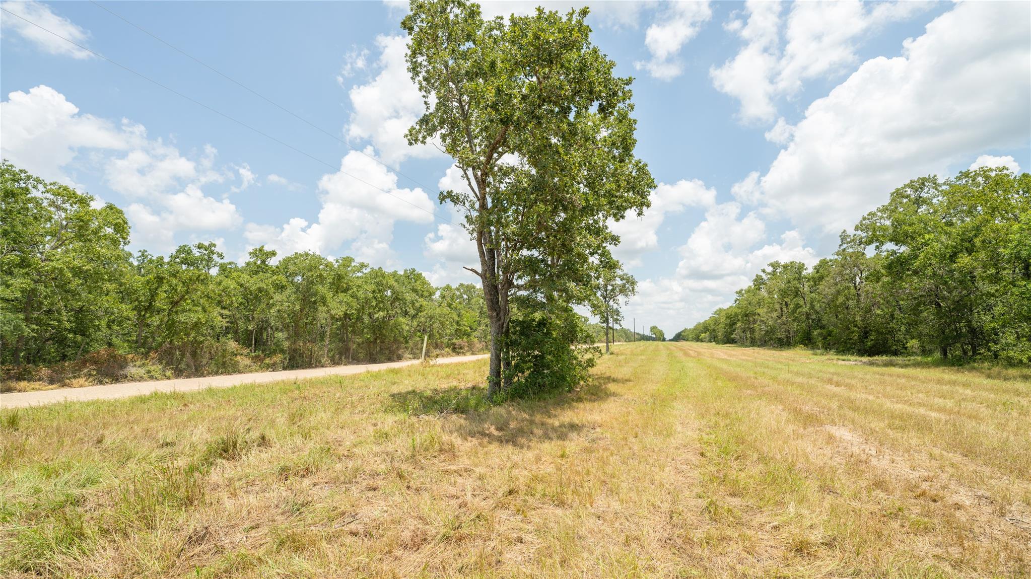418-K County Road 405 — photo 4