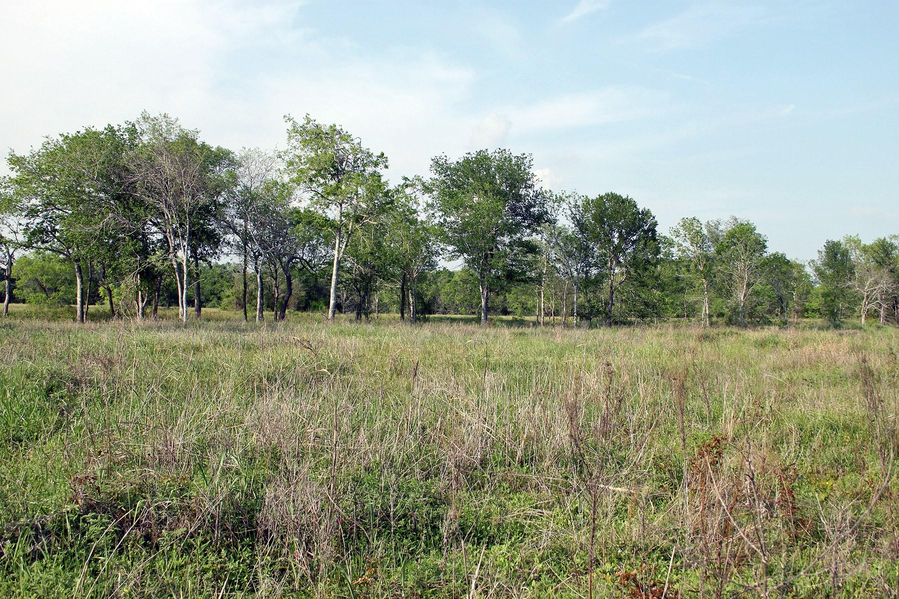3223 Old Kelley RD — photo 4