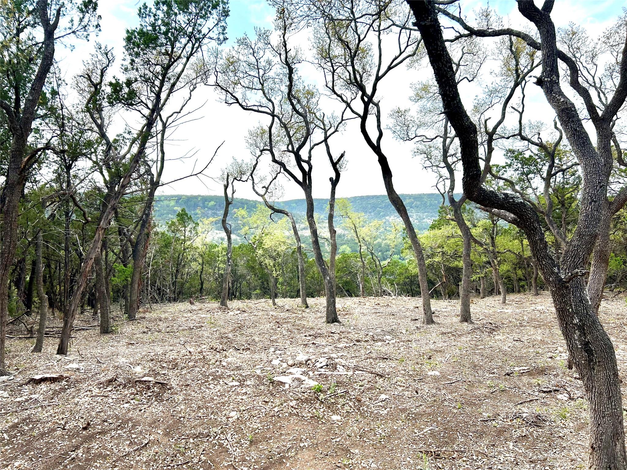 10651 Ranch Road 12 UN #D — photo 4