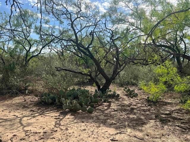 540 State Hwy. 16 Highway — photo 4