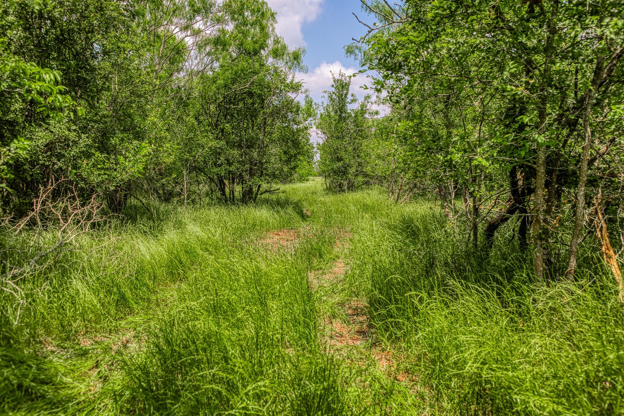 10396 County Road 276 LAND — photo 5