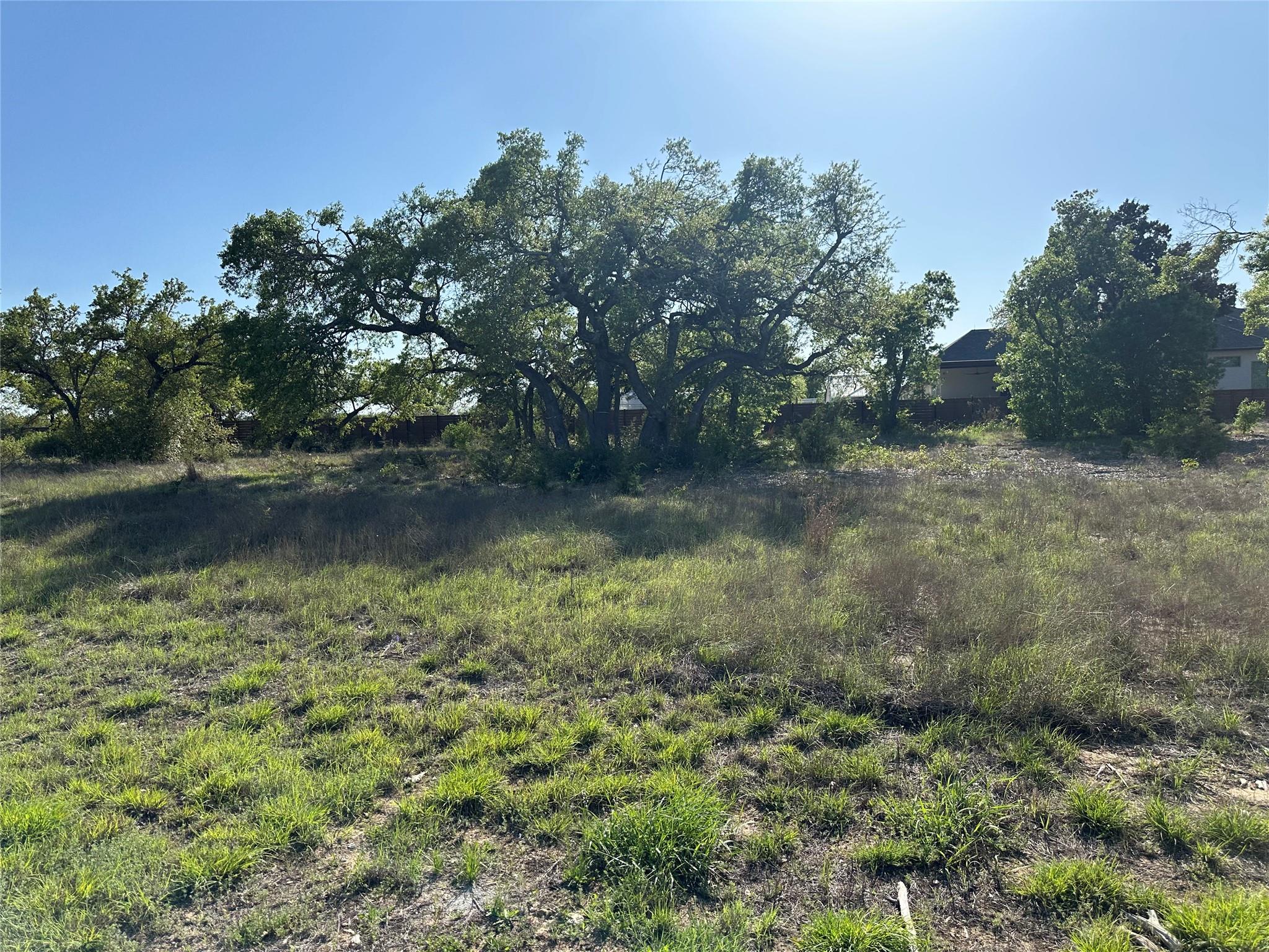 2204 Live Oak RD — photo 3