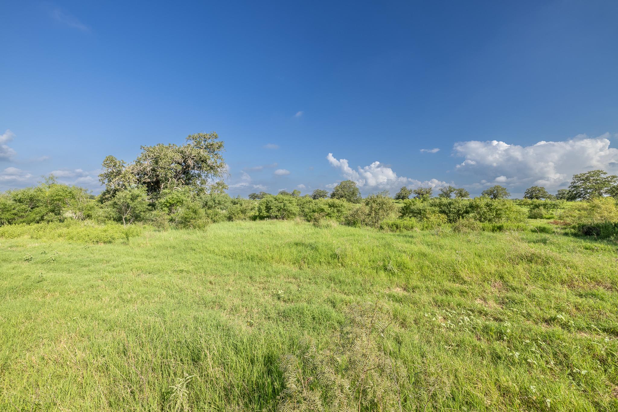 Lot 1-B County Road 491 — photo 4