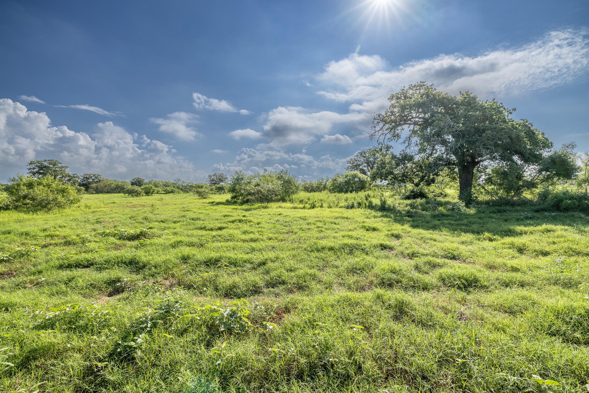 Lot 1-C County Road 491 — photo 4