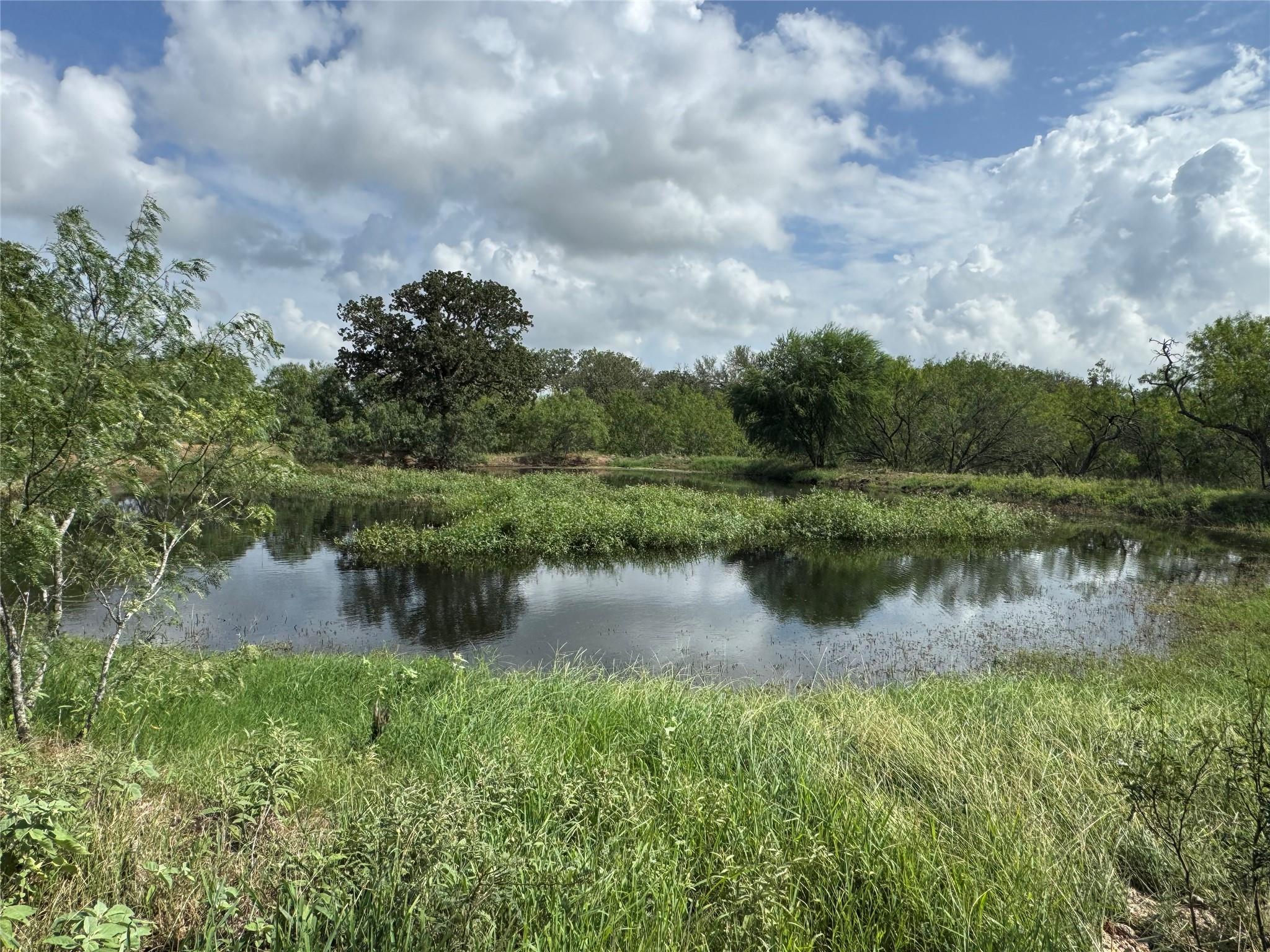 Lot 1-E County Road 491