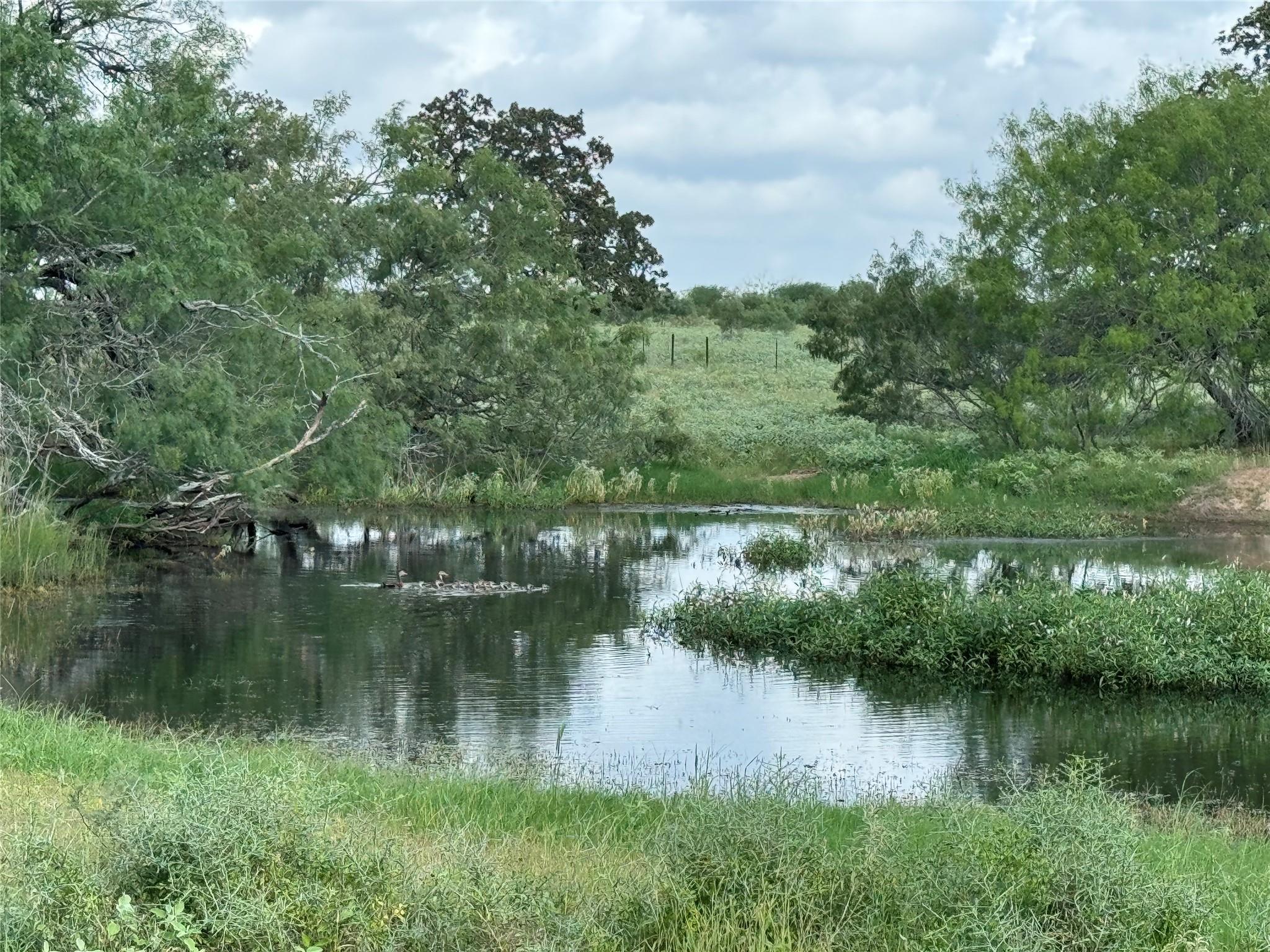 Lot 1-E County Road 491 — photo 5