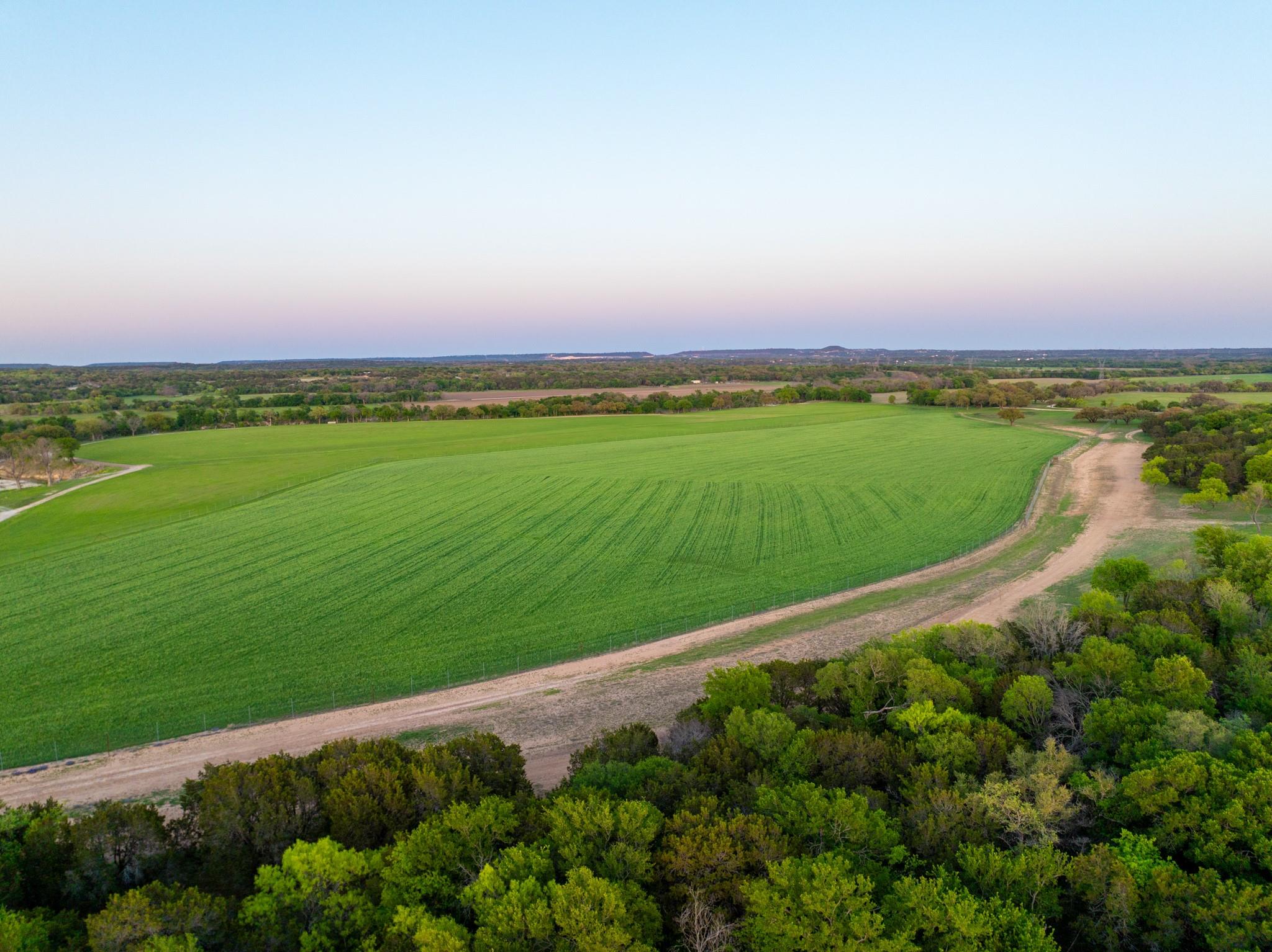4503 FM 1715 — photo 5