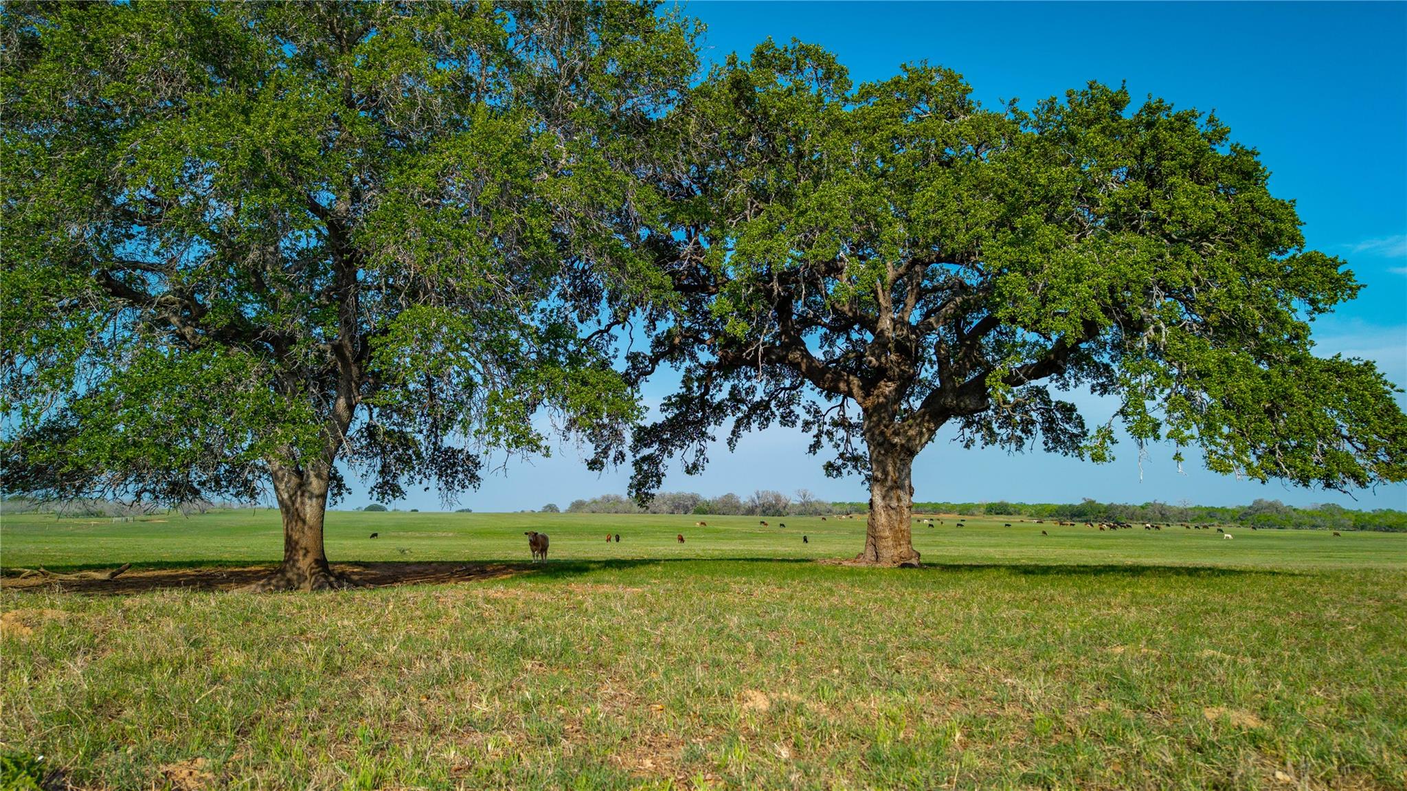 TBD County Road 404