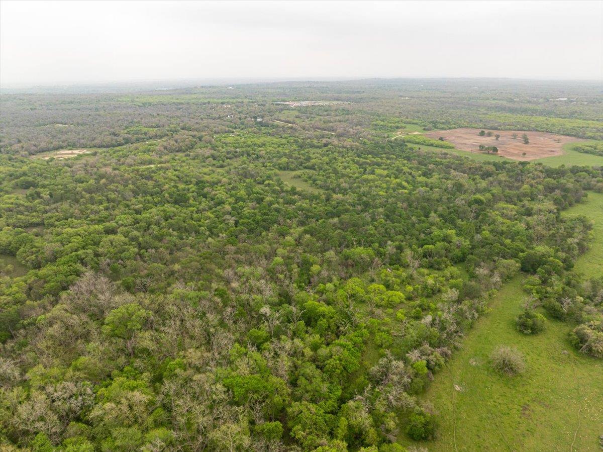 350 Mineral Springs RD — photo 5