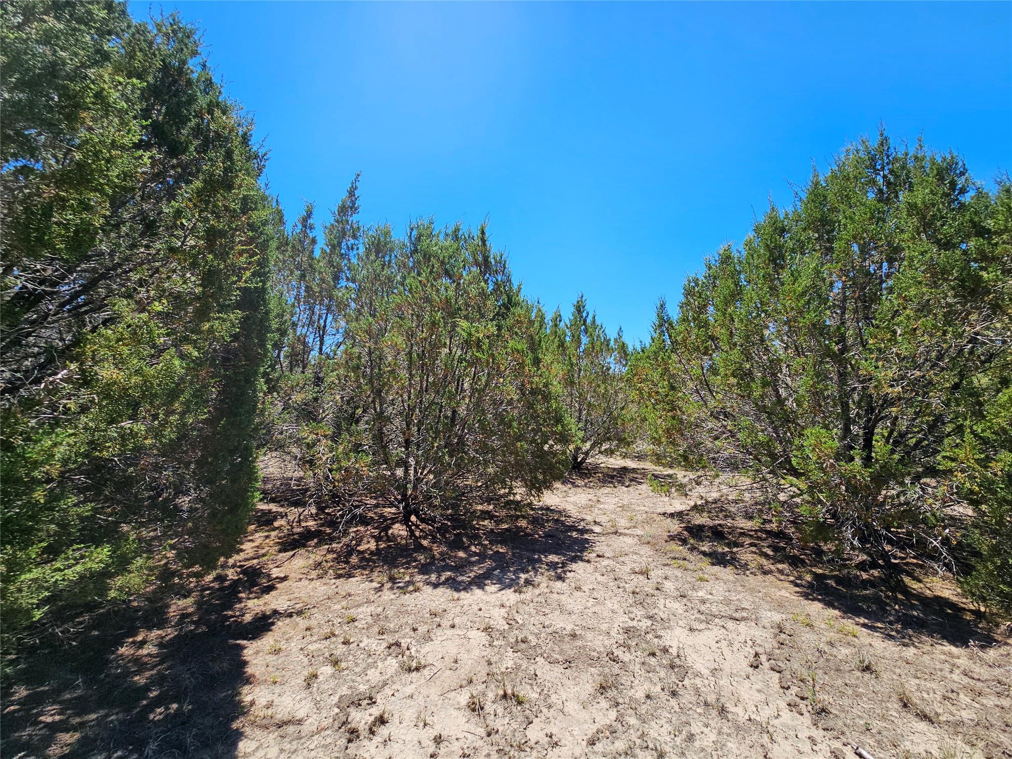 Lot 25 Alta Vista DR — photo 3