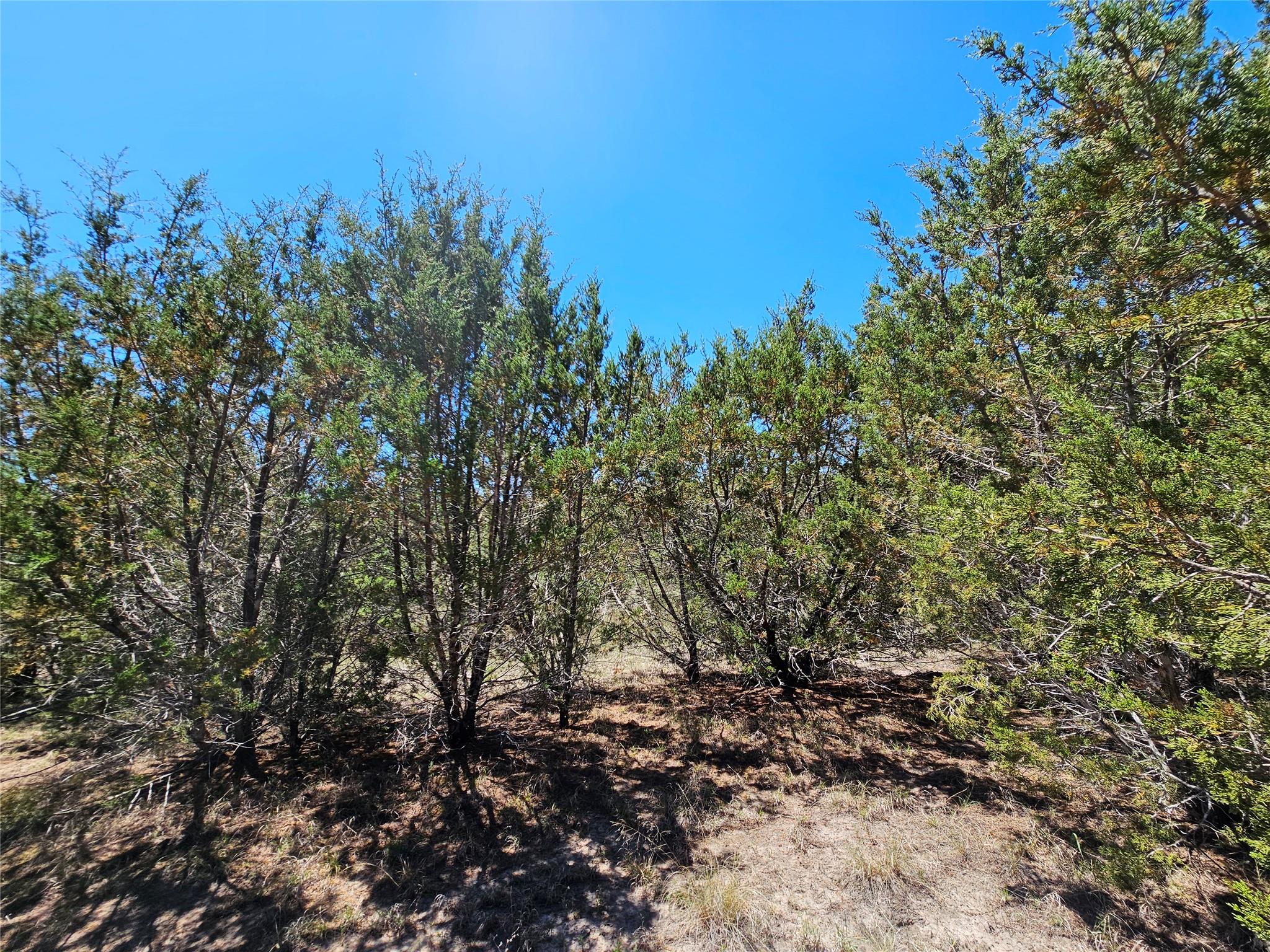 Lot 25 Alta Vista DR — photo 5