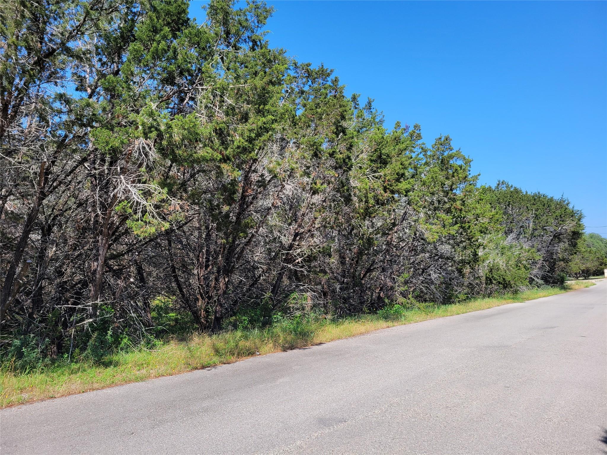 20903 Green Park DR — photo 4