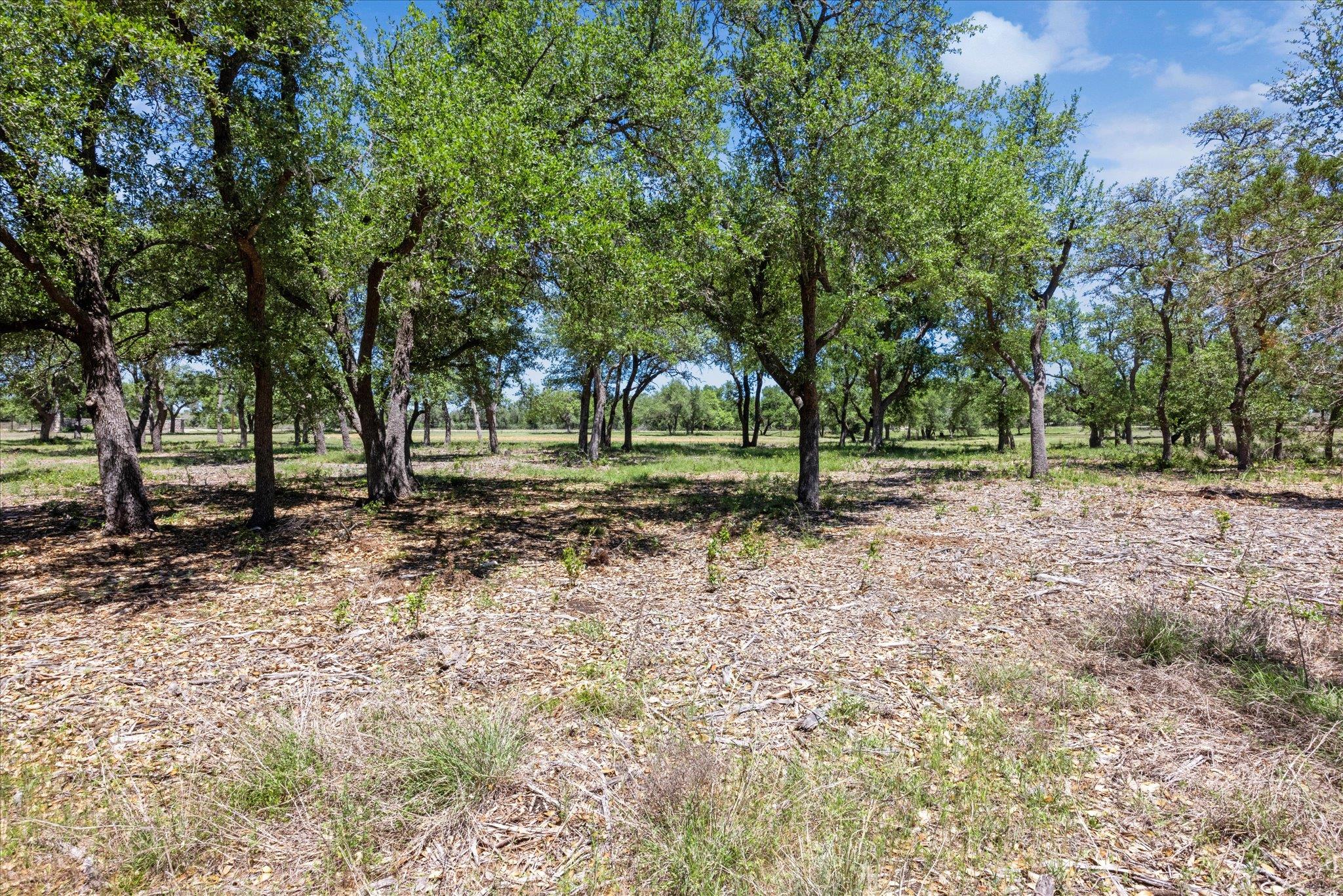 201 Medlin Creek LOOP — photo 5