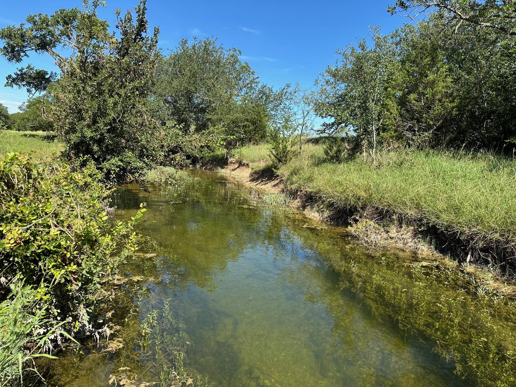 tbd County Road 330 — photo 3
