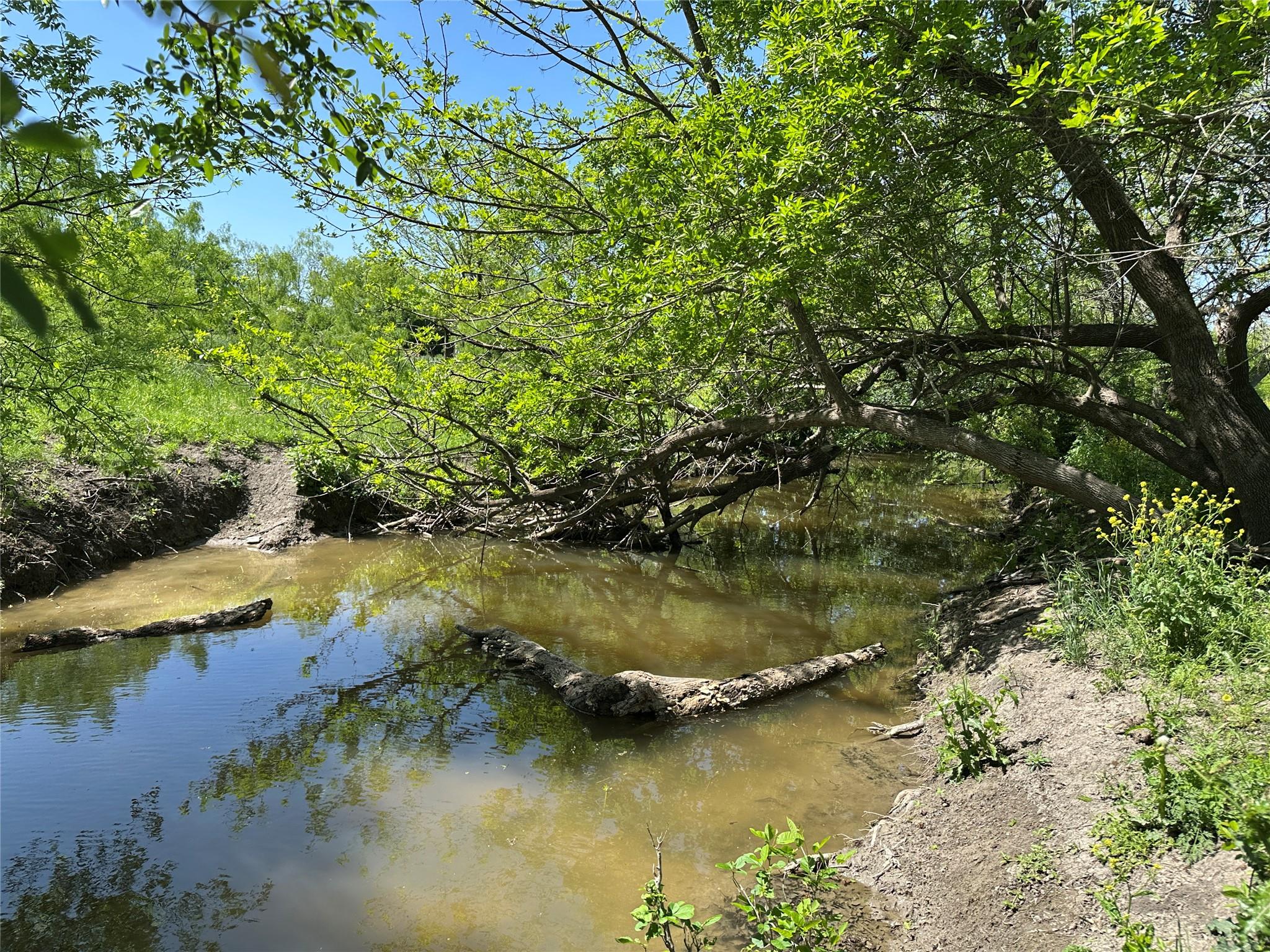 8500 Fork RD — photo 5
