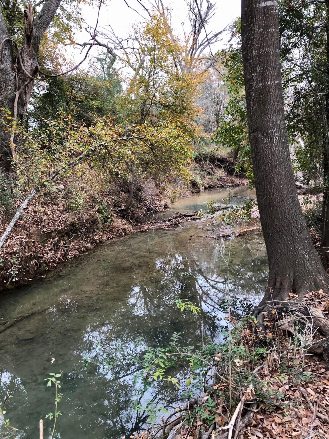 TBD 144.45 acres — photo 4