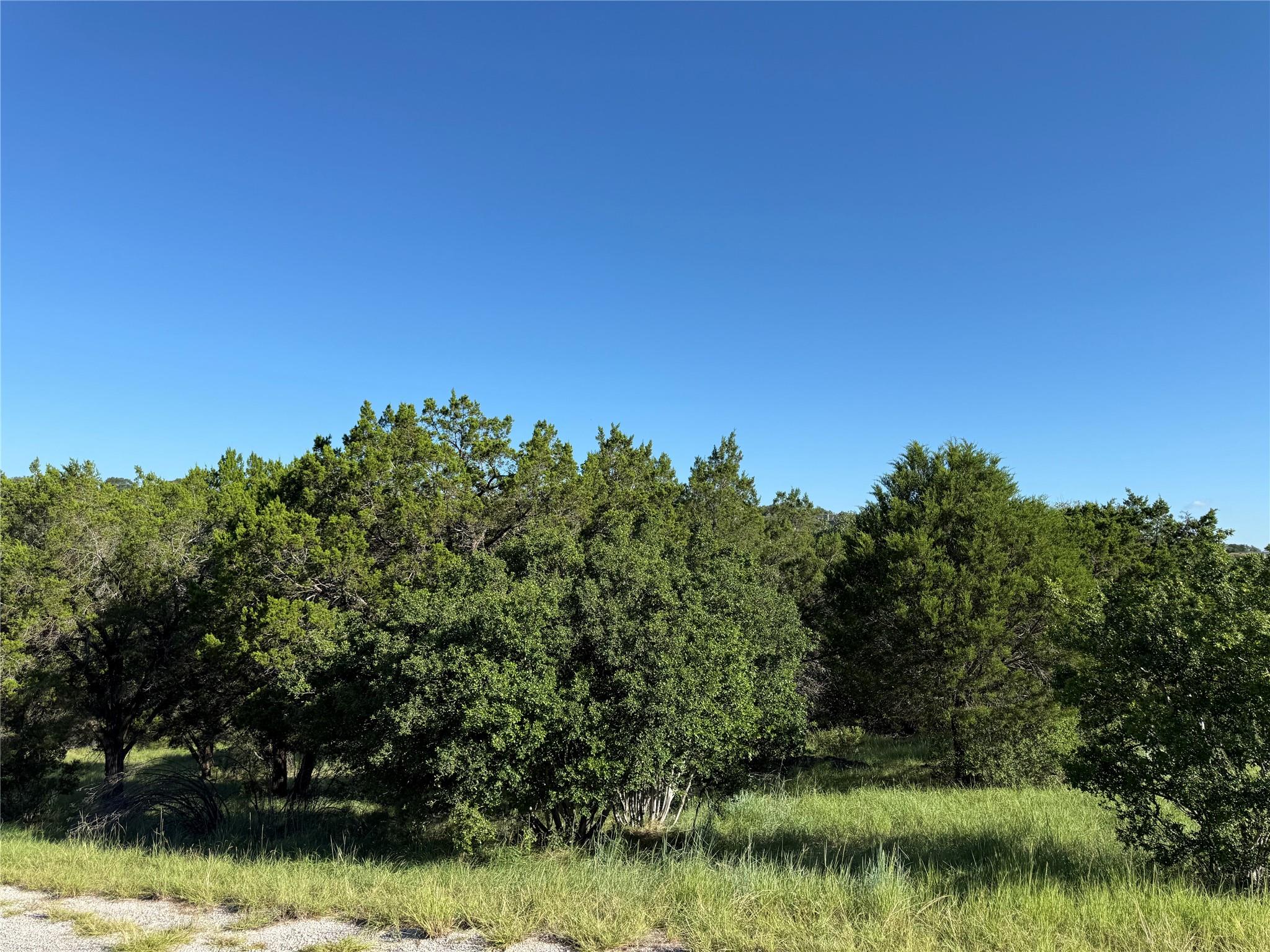 Lot 22325 Jalapeno — photo 3