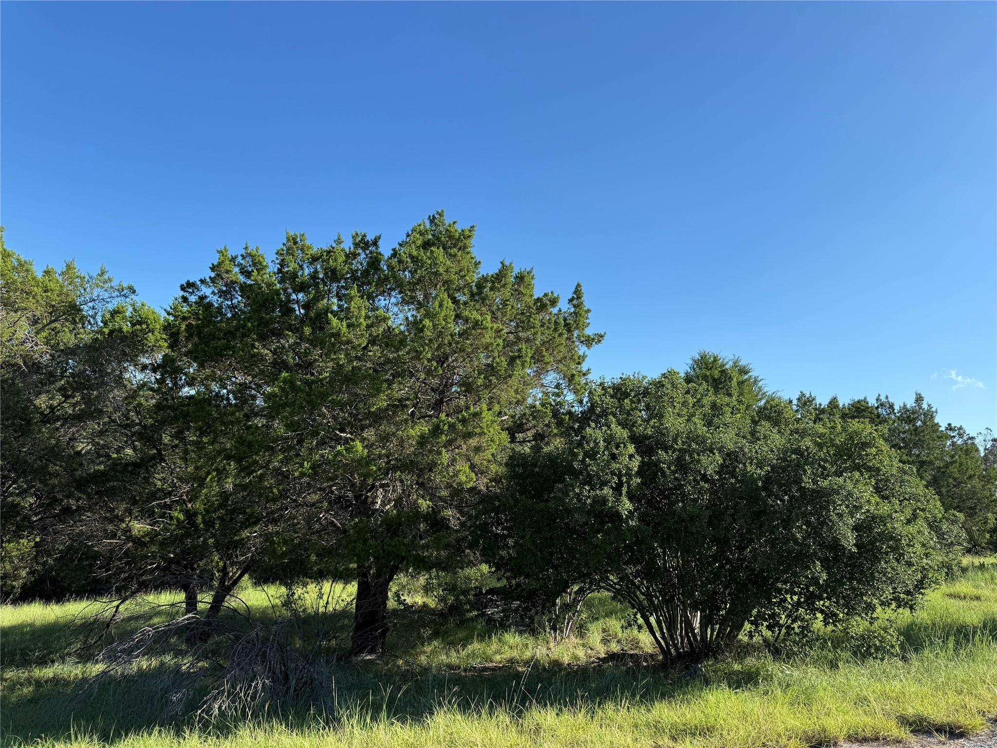 Lot 22325 Jalapeno — photo 4